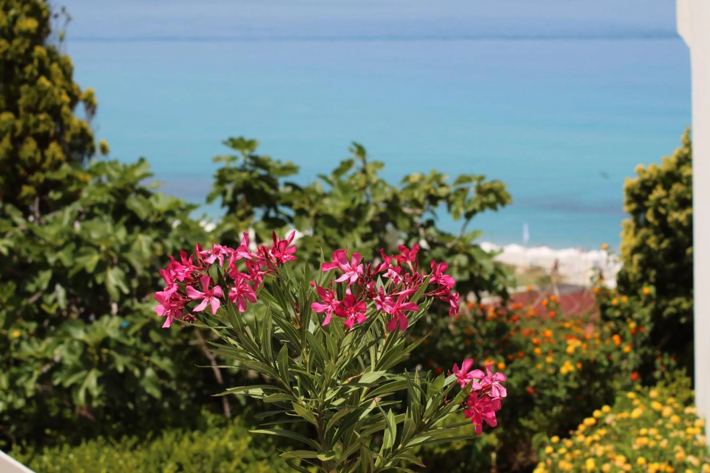 Natural landscape in BV Kalafiorita Resort