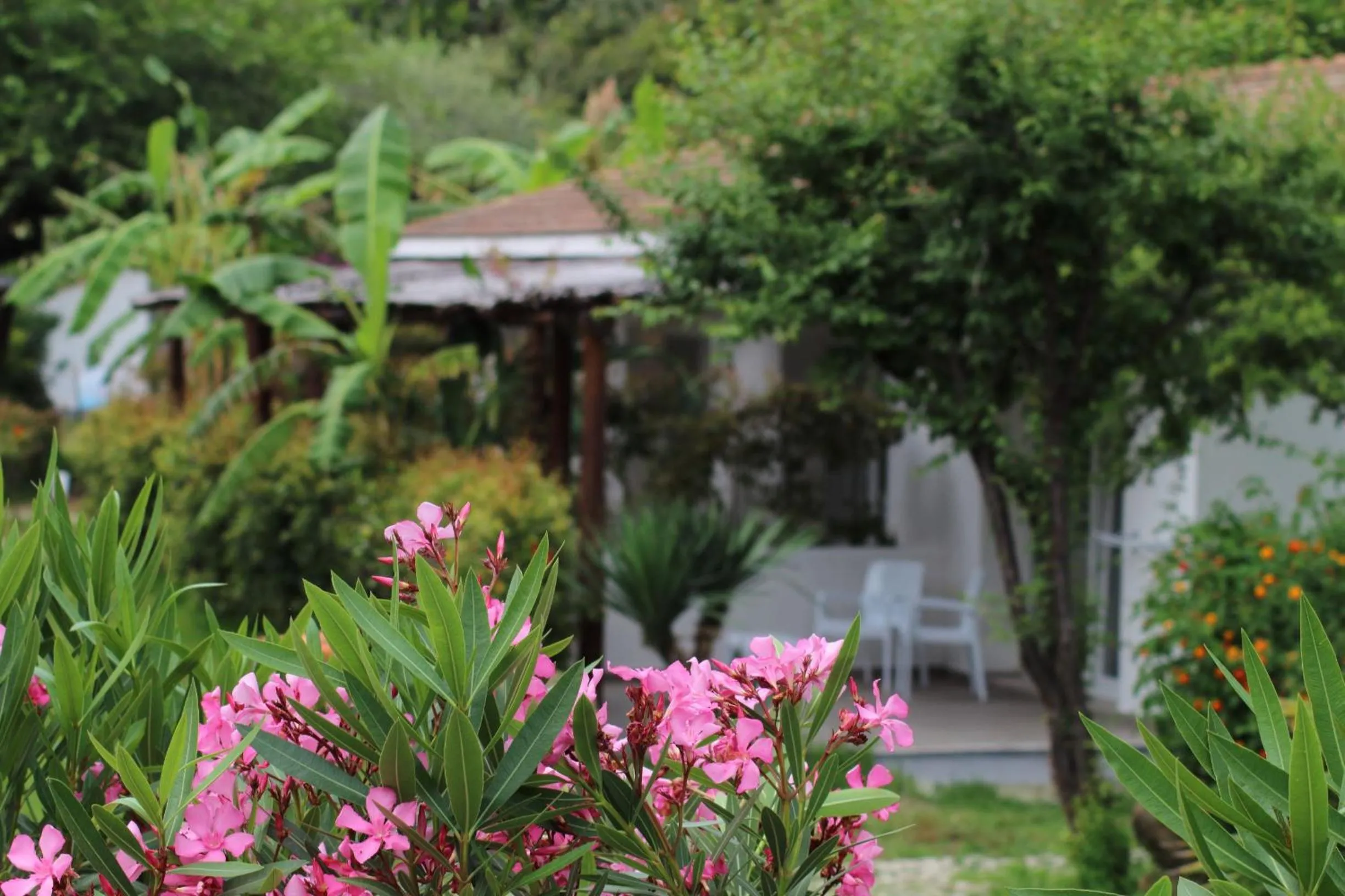 Garden in BV Kalafiorita Resort