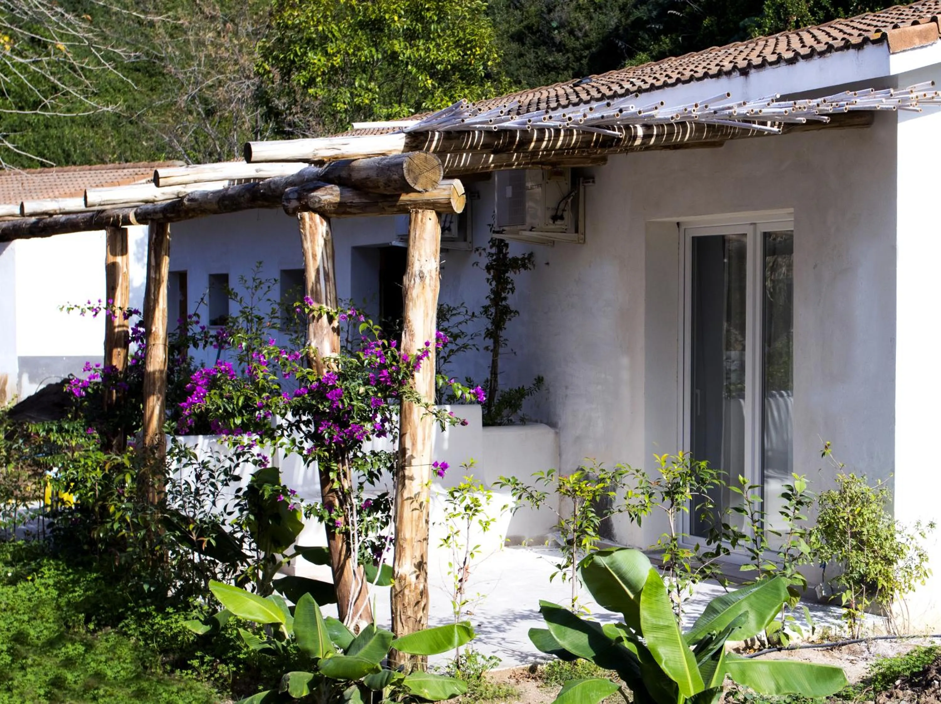 Garden in BV Kalafiorita Resort