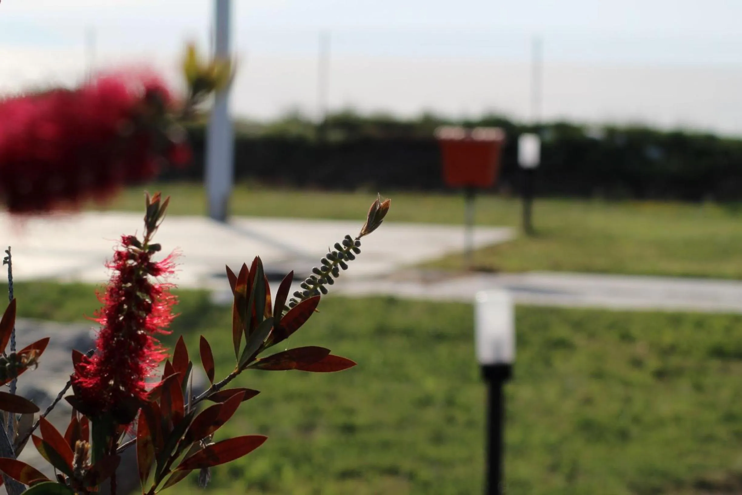 Garden in BV Kalafiorita Resort