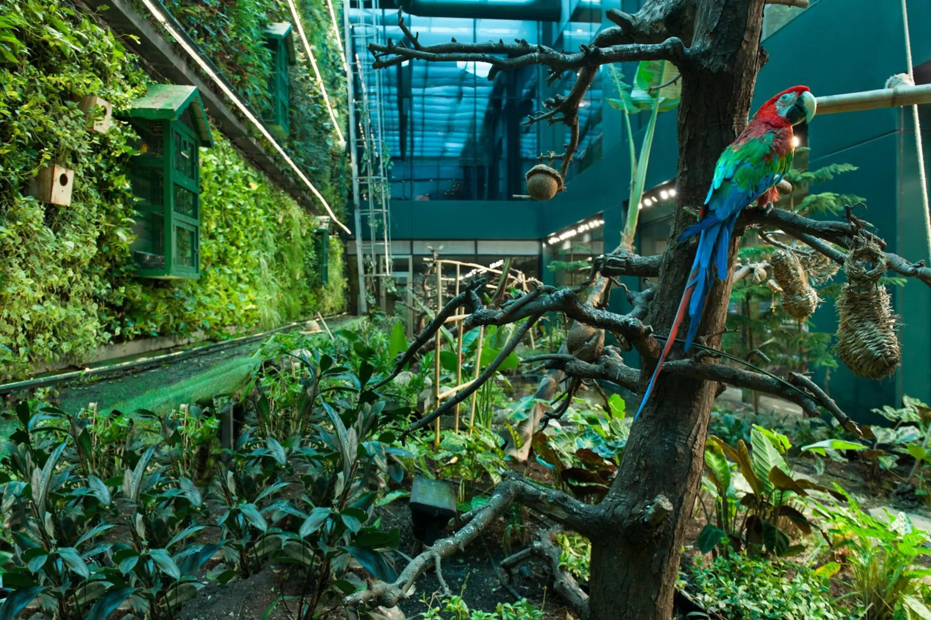 Other in Elite World Grand Istanbul Basın Ekspres