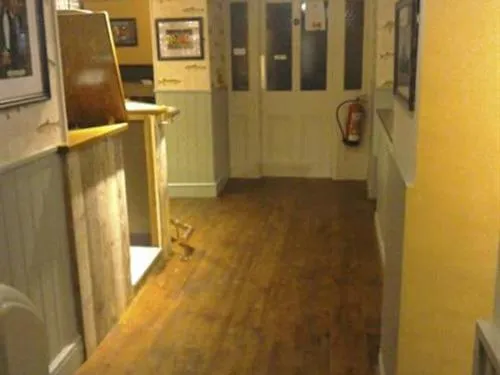 Lobby or reception in Holland Hotel