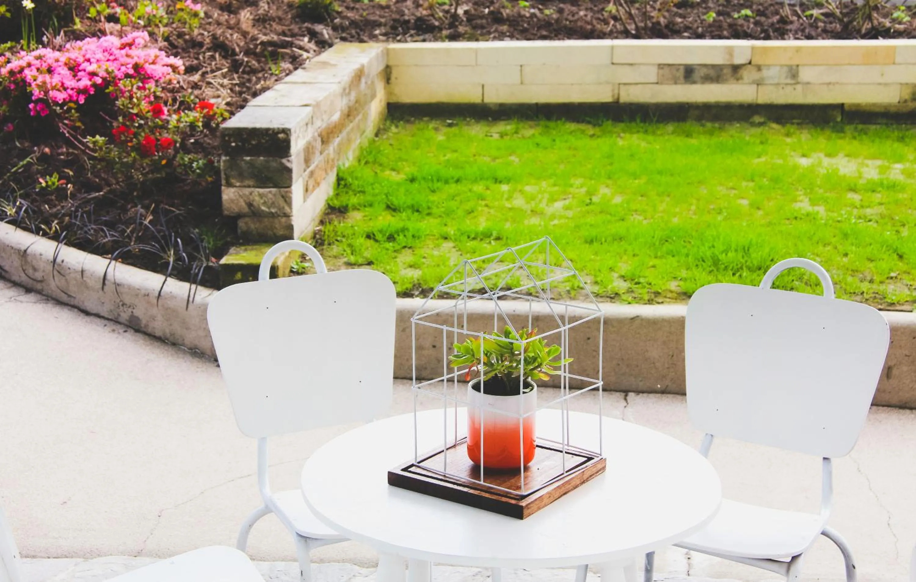 Garden in Oamaru Backpackers