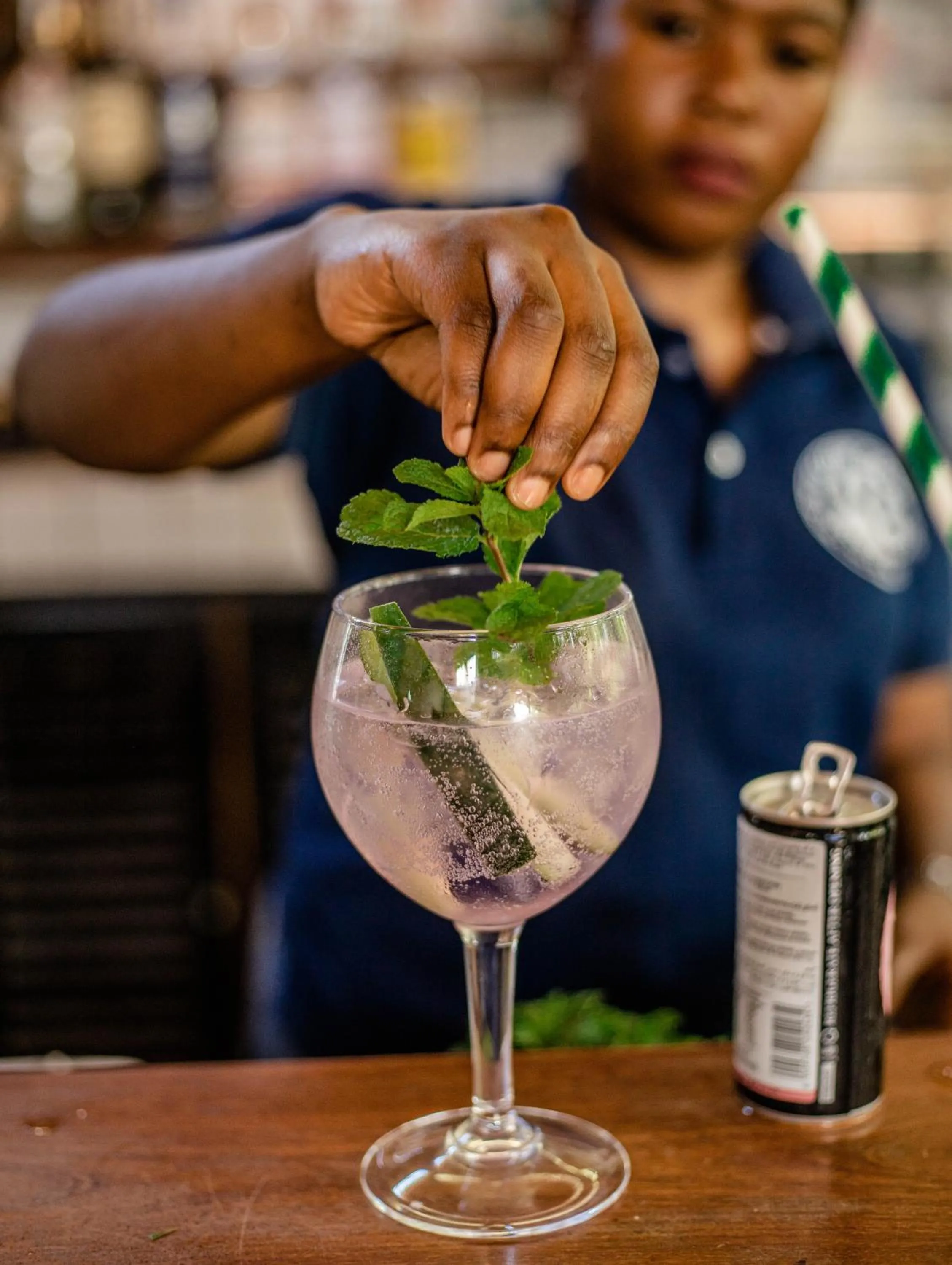 Lounge or bar in The Slow Leopard