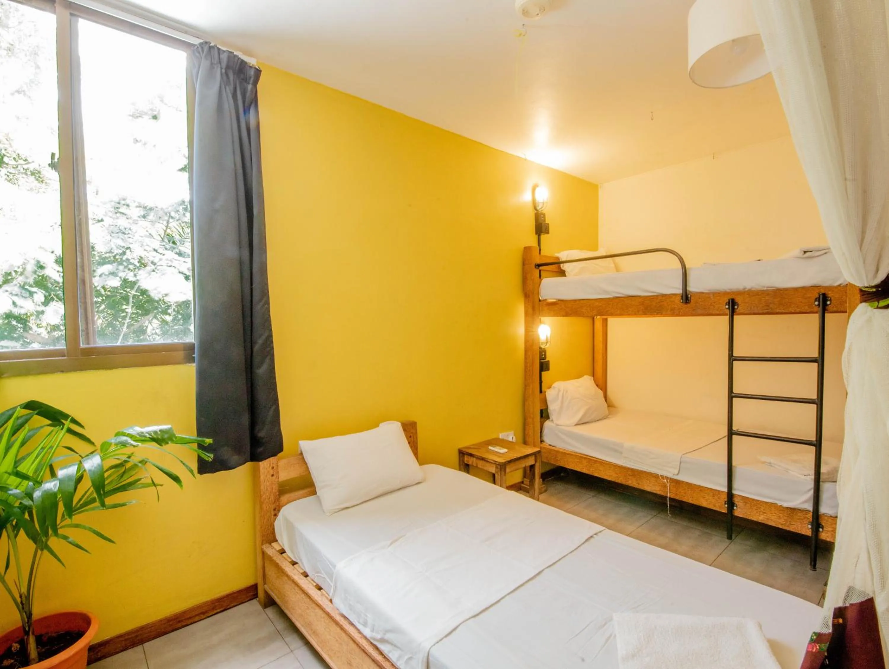 Photo of the whole room, Bed in The Slow Leopard