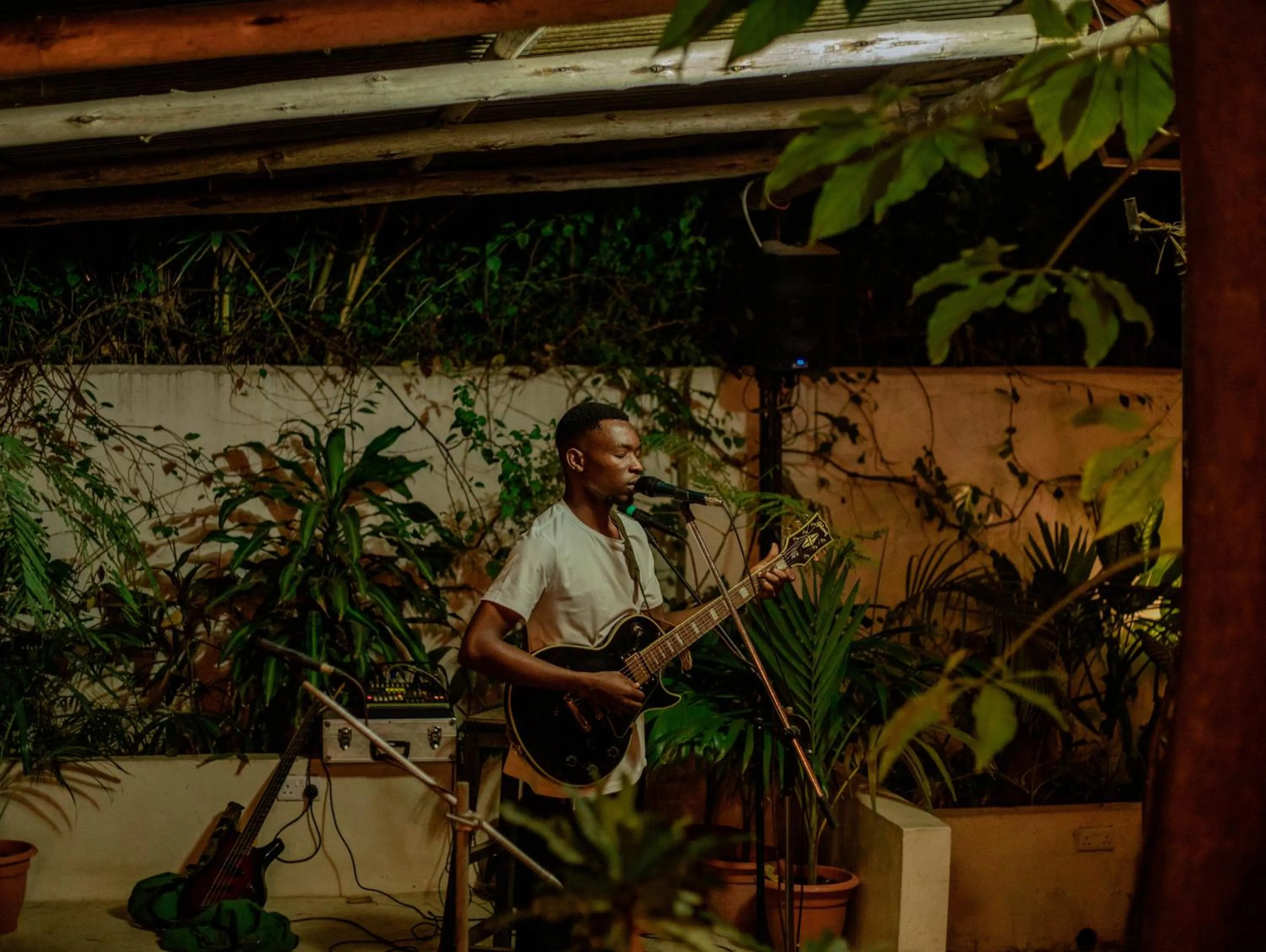 Garden view in The Slow Leopard