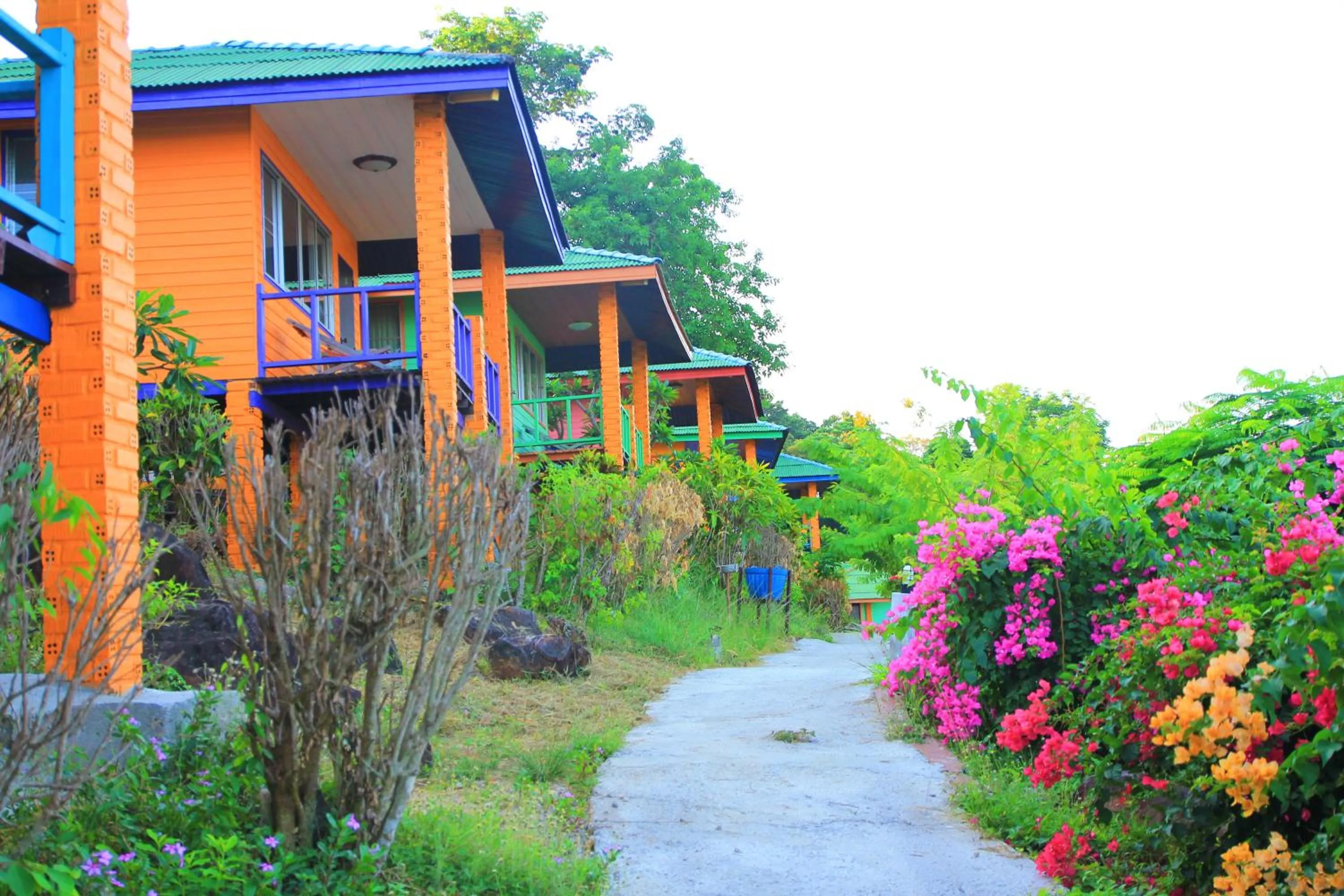 Property building in Phi Phi View Point Resort