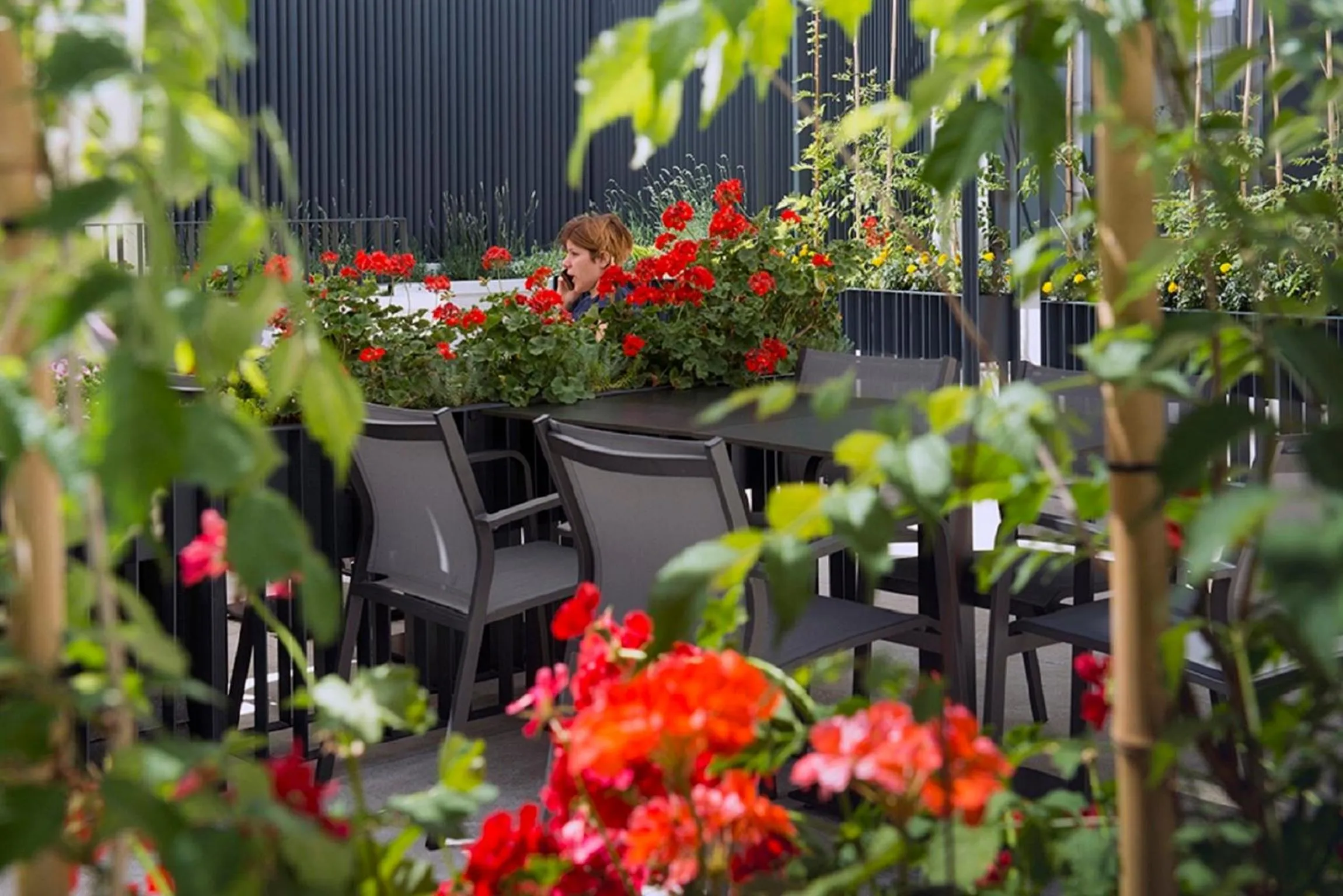 Balcony/Terrace in Hotel Sana