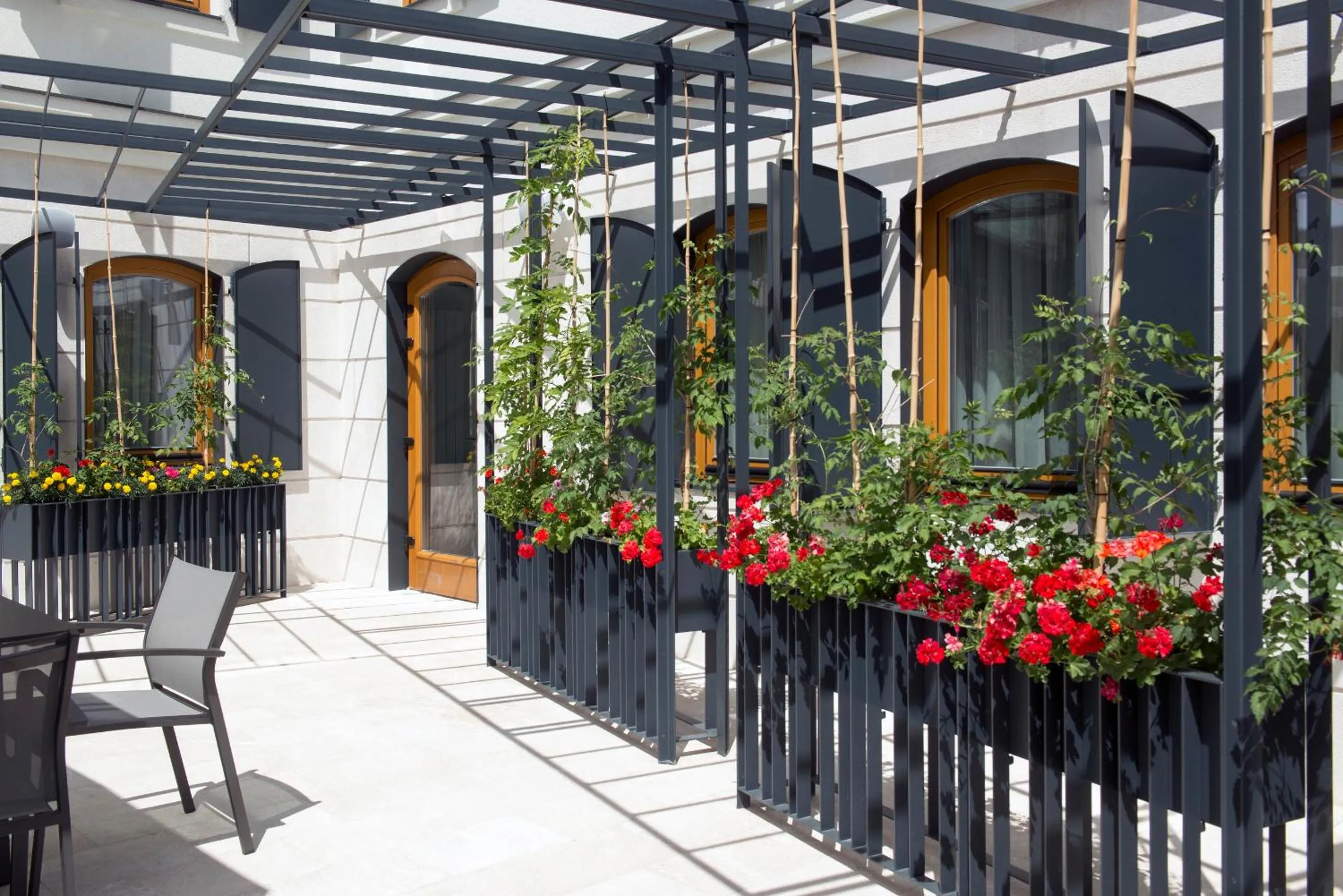 Balcony/Terrace in Hotel Sana