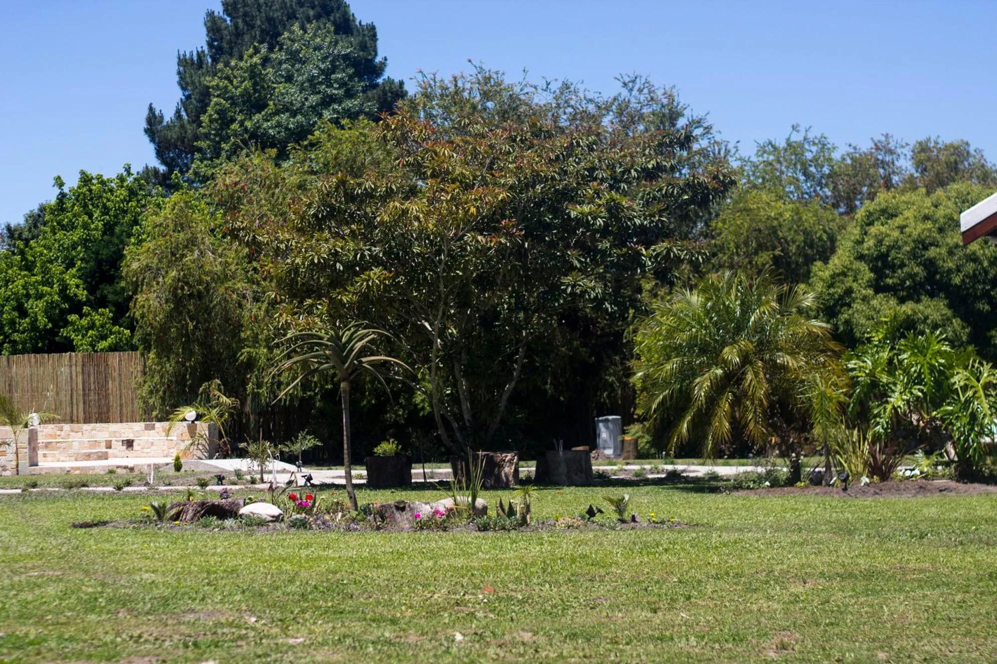 Garden in Tsitsikamma Manor