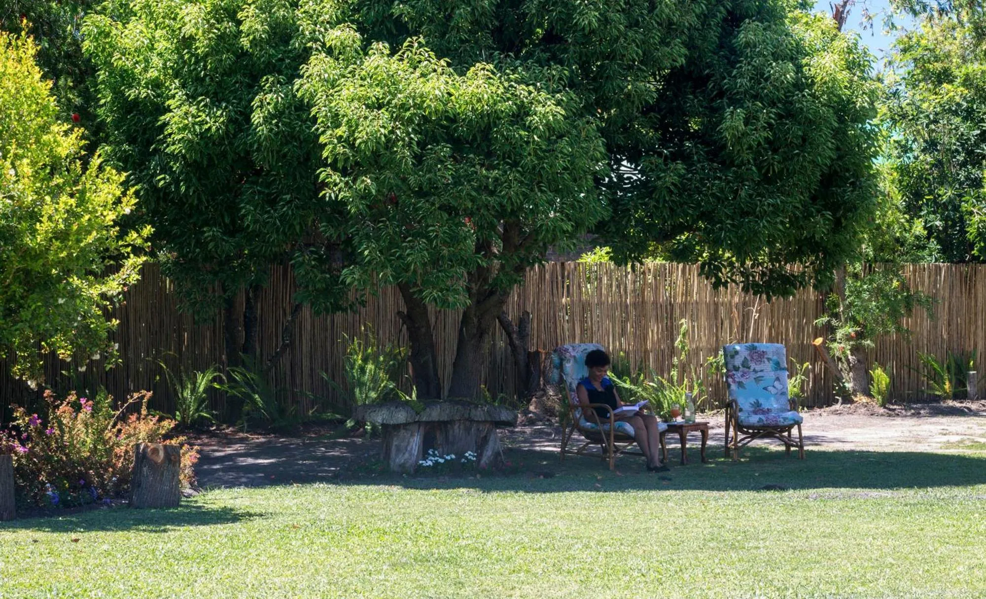 Garden in Tsitsikamma Manor
