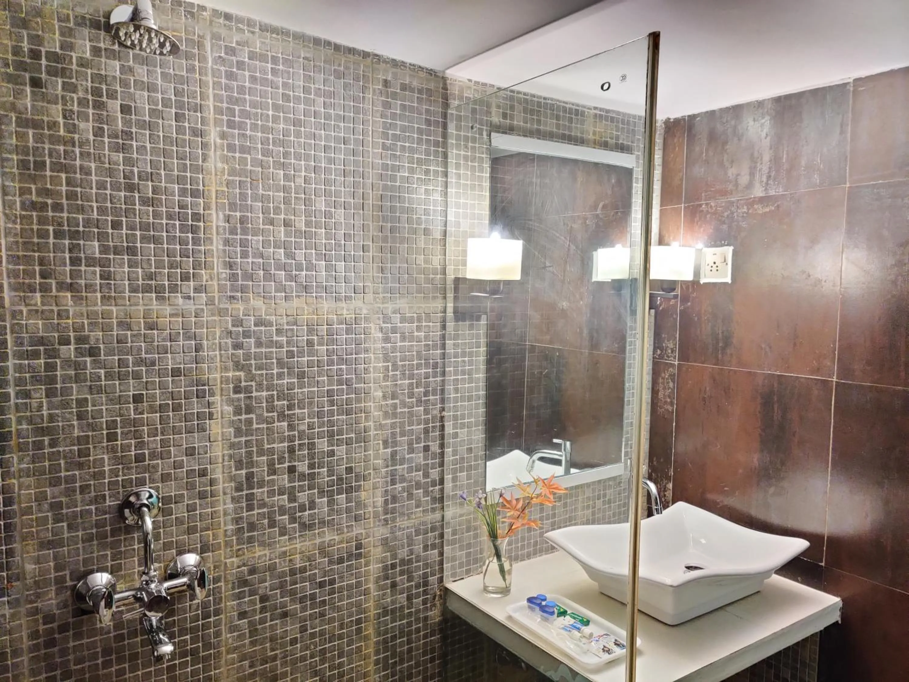 Shower in Eros Boutique Hotel