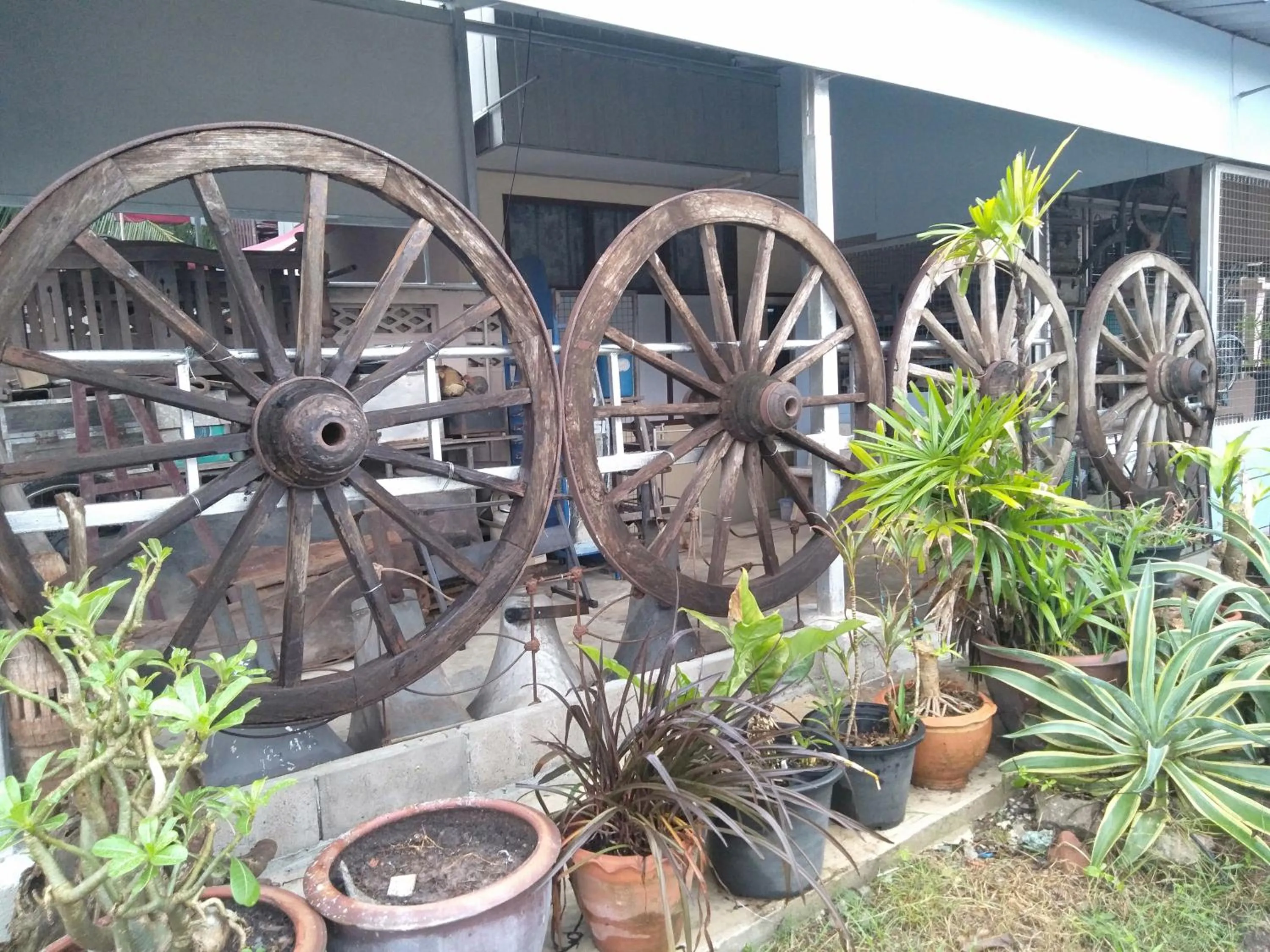 Ban Khun Rin Homestay