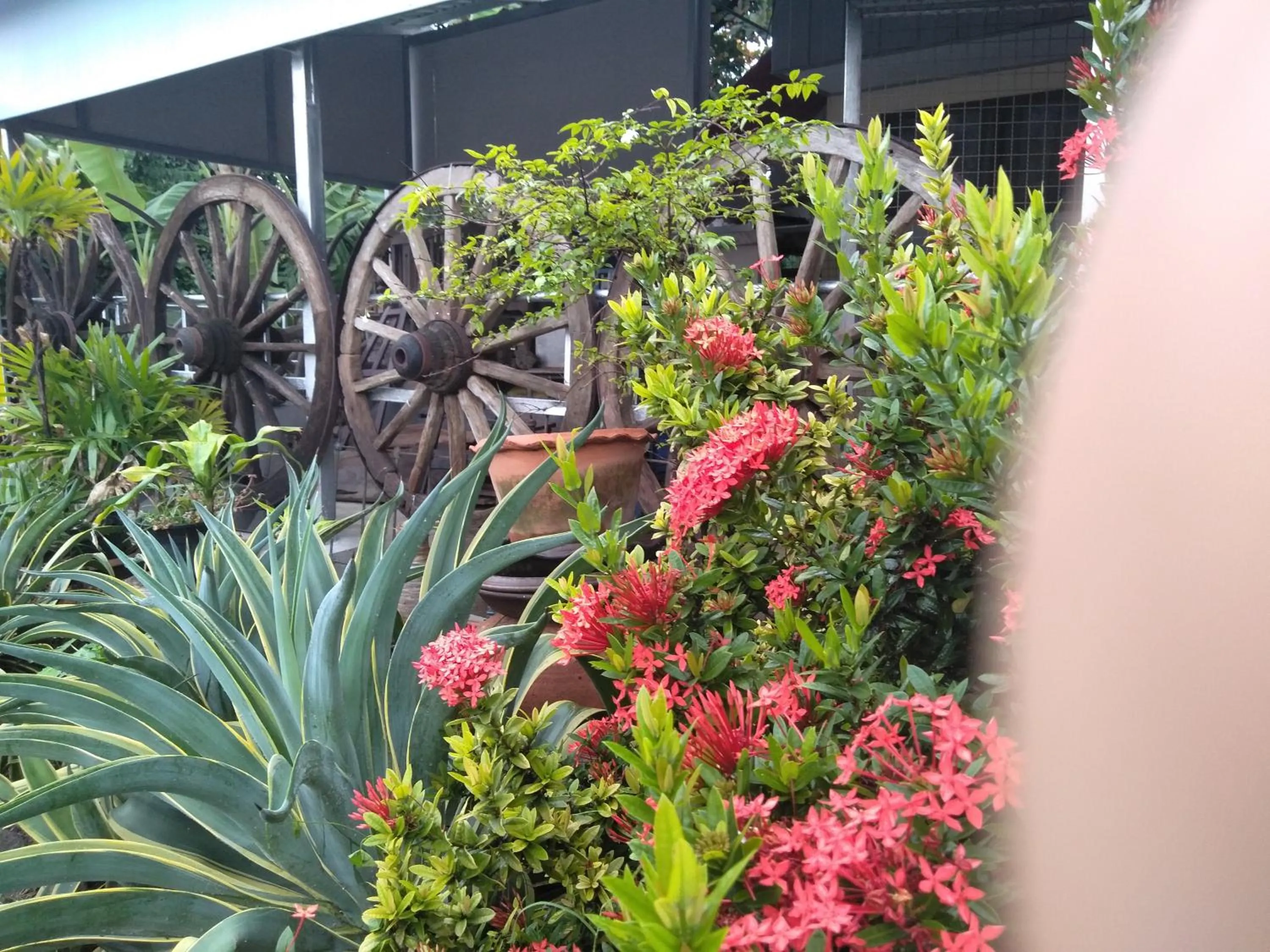 Ban Khun Rin Homestay