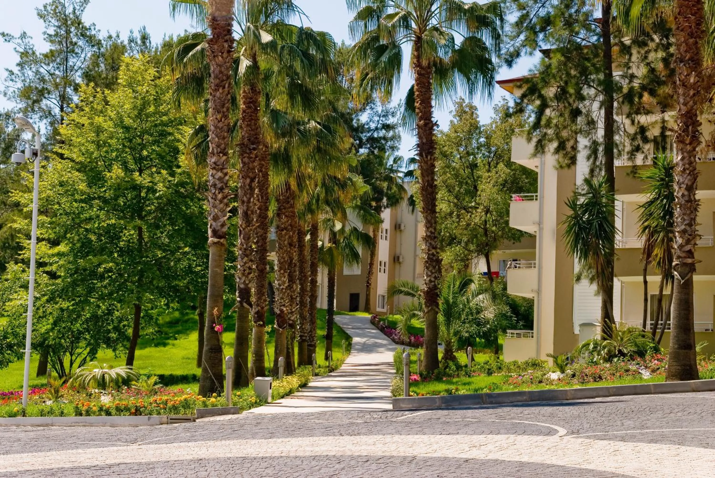 Natural landscape in Club Sidelya Hotel