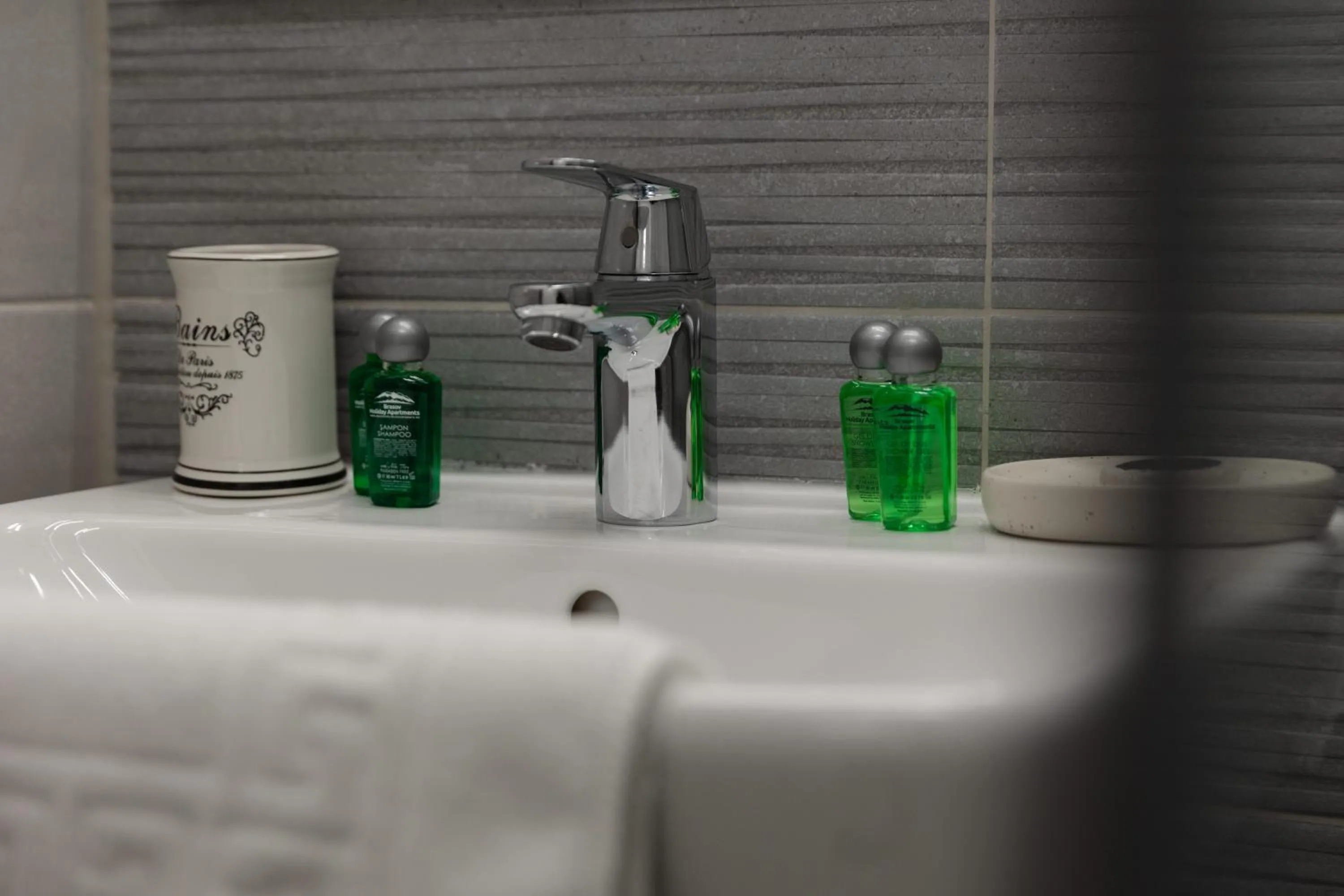 Bathroom in Brasov Holiday Apartments