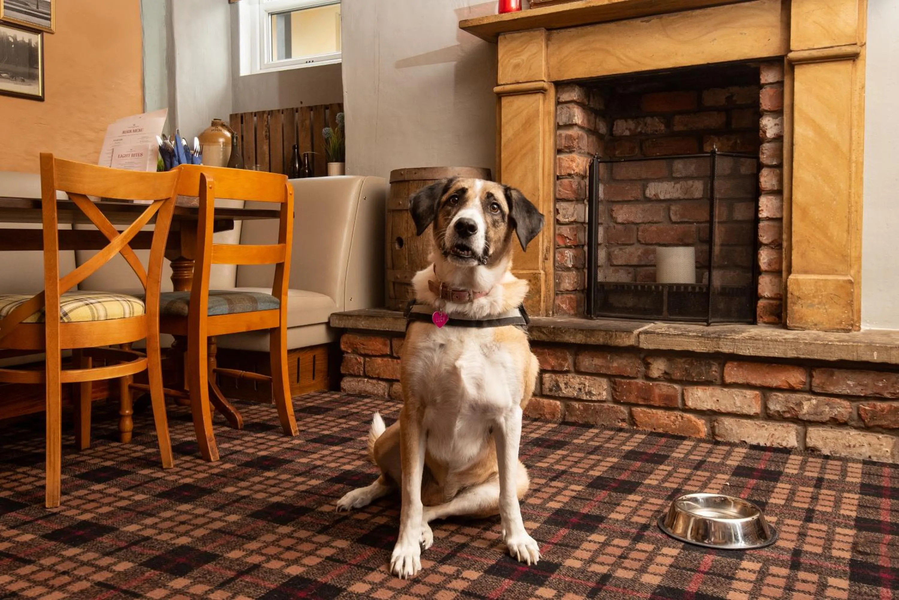 Pets in The Lindisfarne Inn - The Inn Collection Group