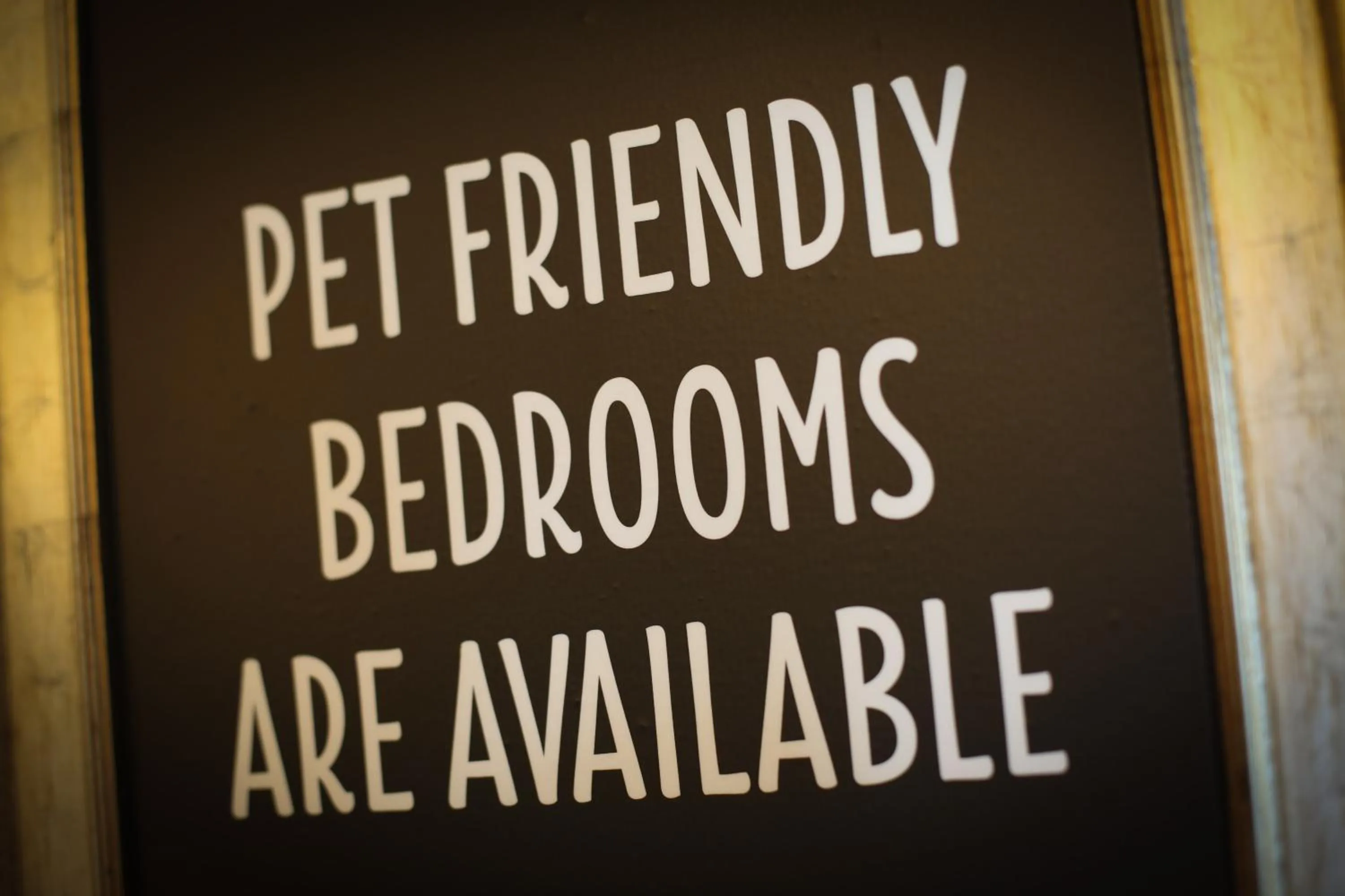 Pets in The Lindisfarne Inn - The Inn Collection Group