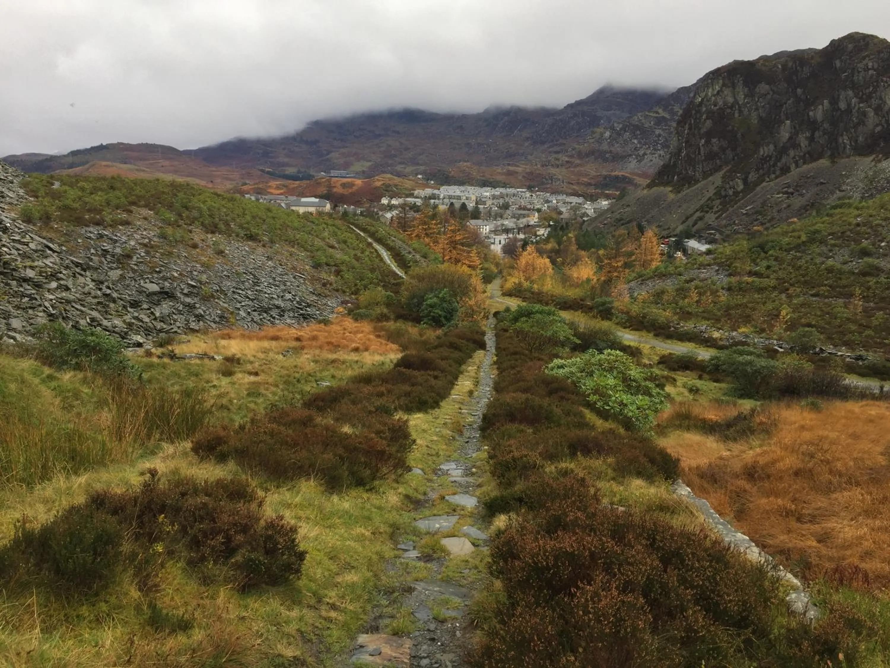 Natural landscape in Pisgah Guesthouse Snowdonia