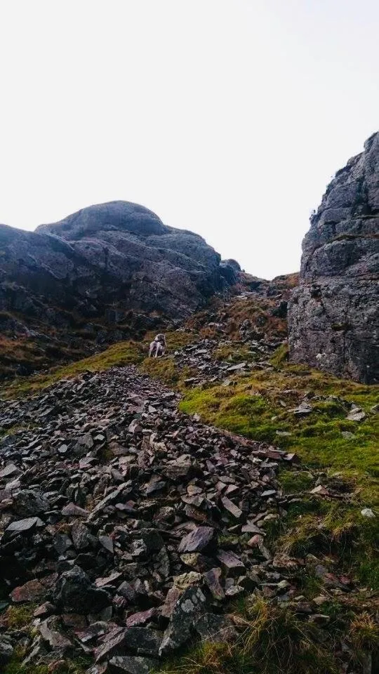 Pisgah Guesthouse Snowdonia