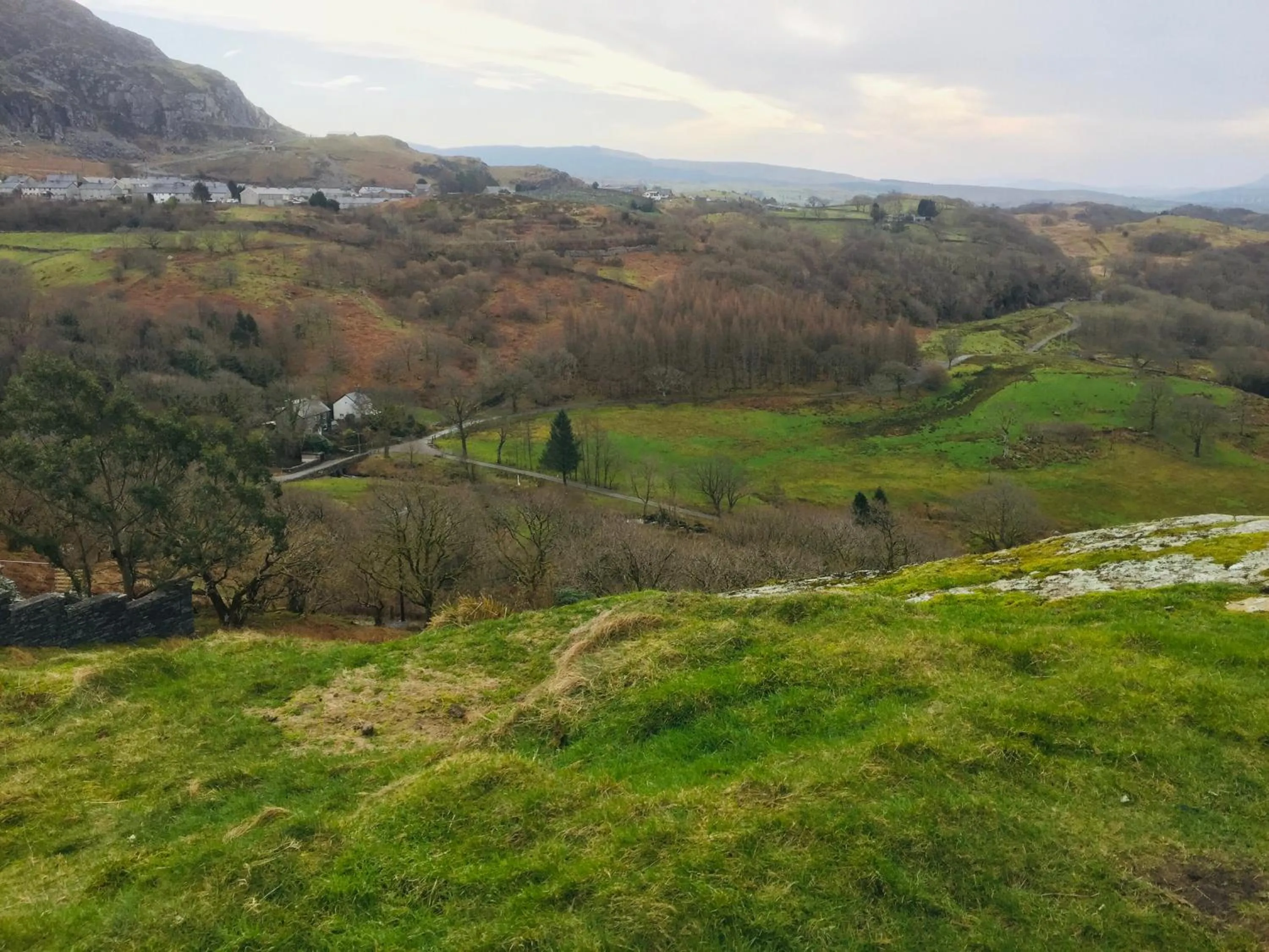 Natural landscape in Pisgah Guesthouse Snowdonia