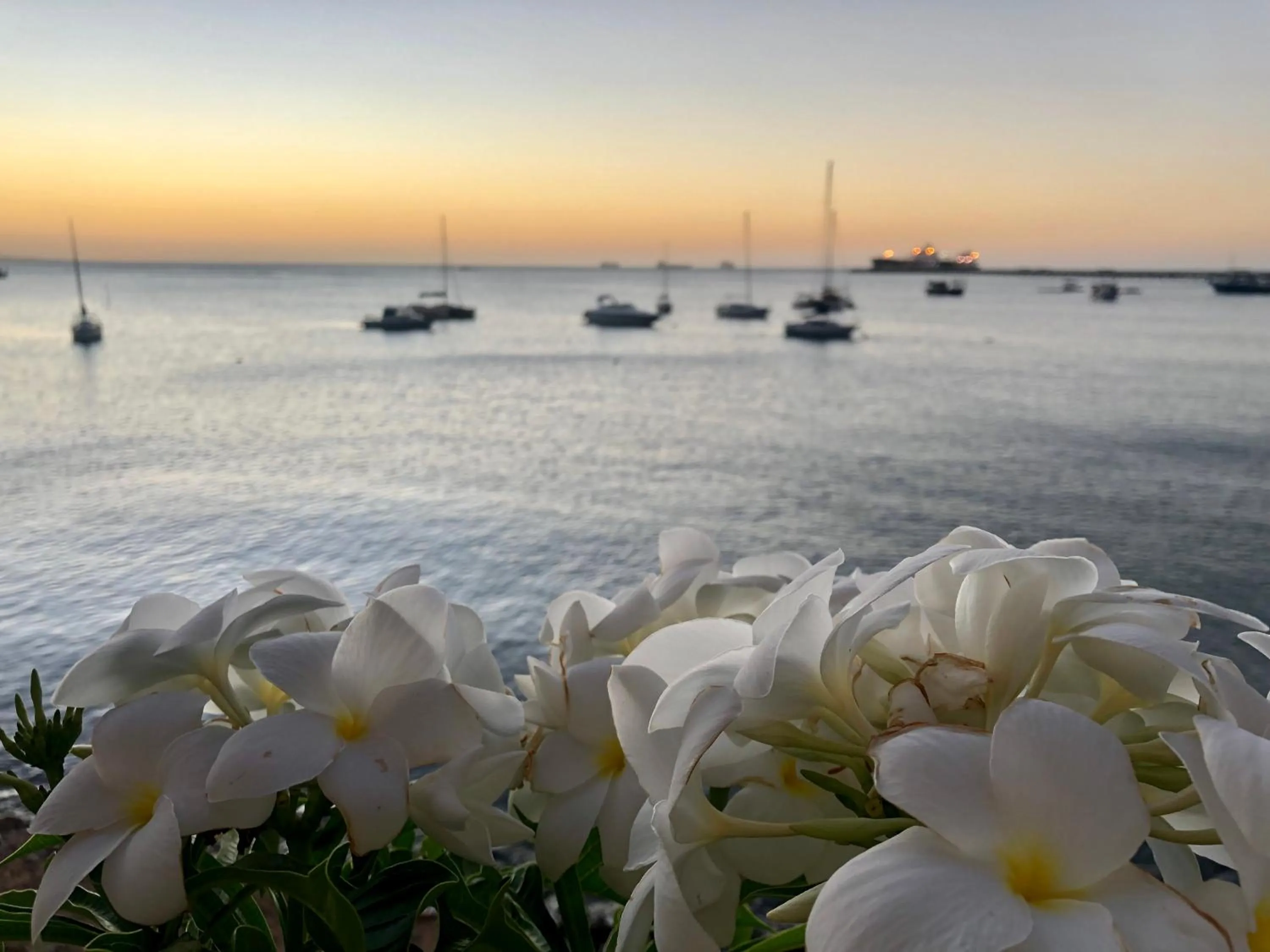 Yacht Cost Residence