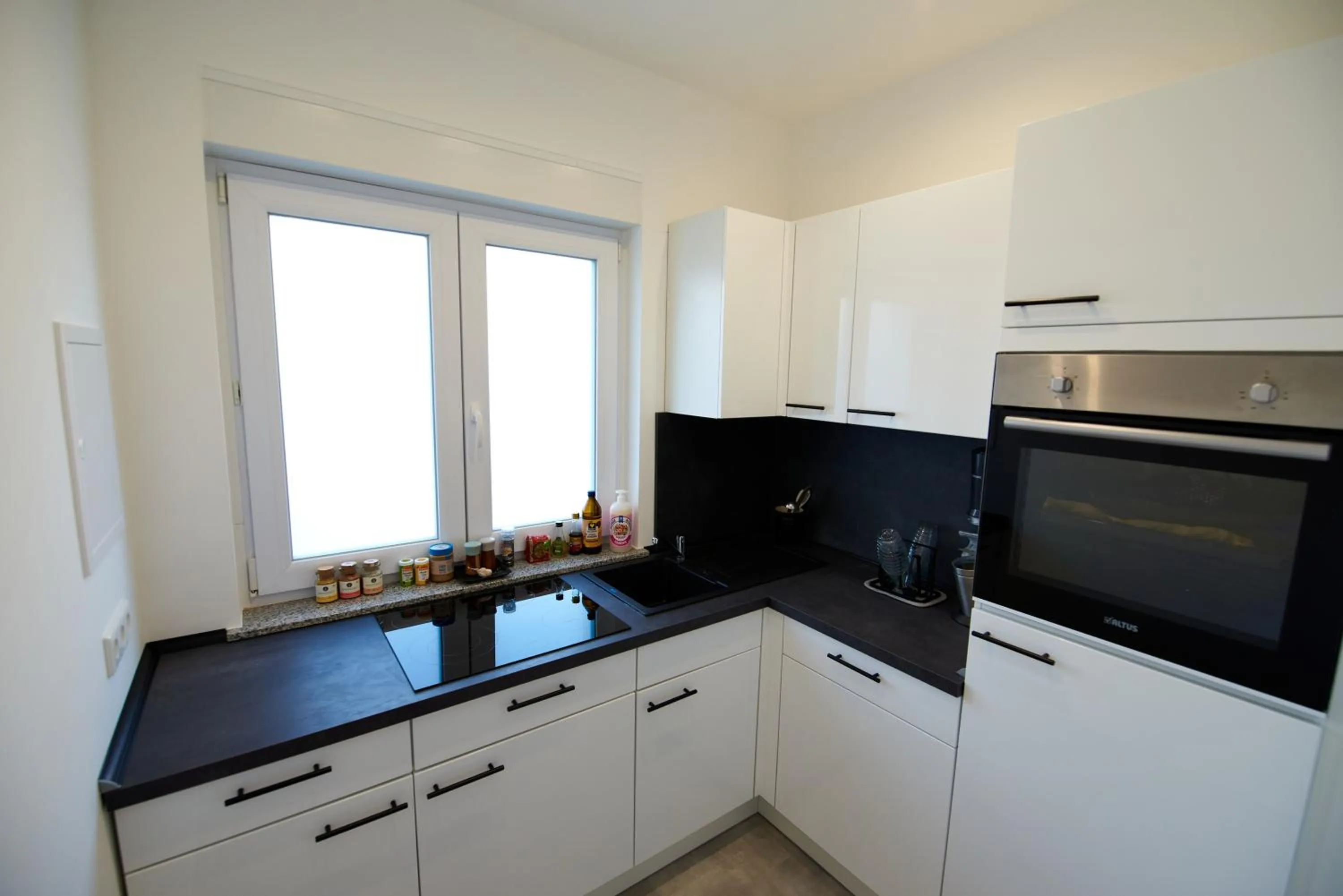 dishwasher in Business Apartments Höfle