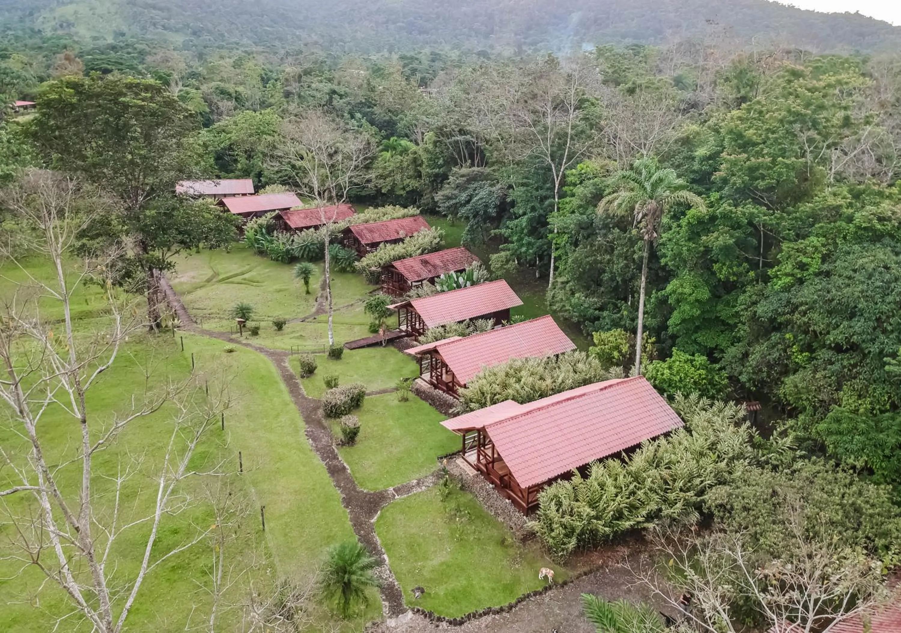 Property building in La Anita Rain Forest