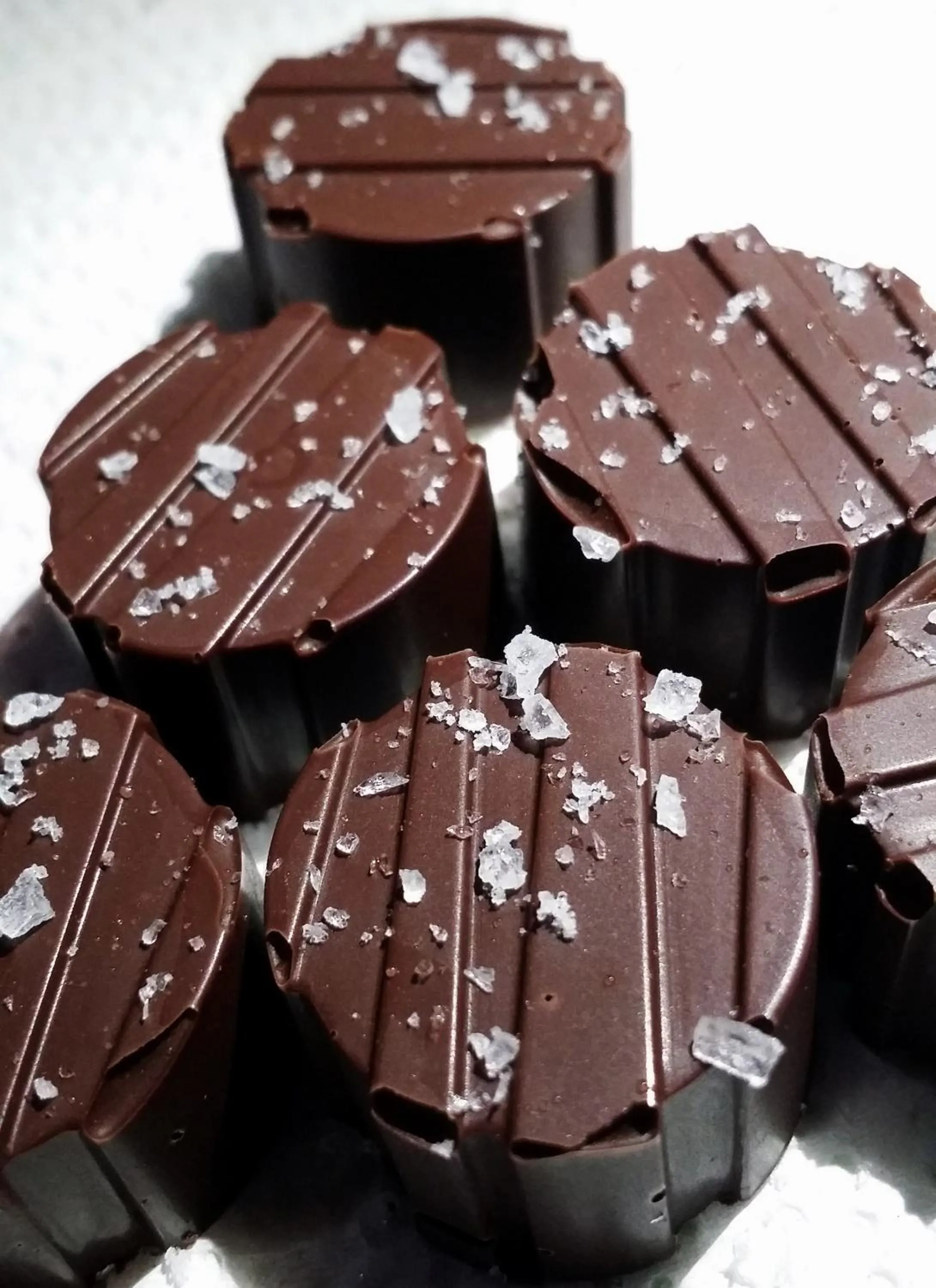 Food in La Anita Rain Forest