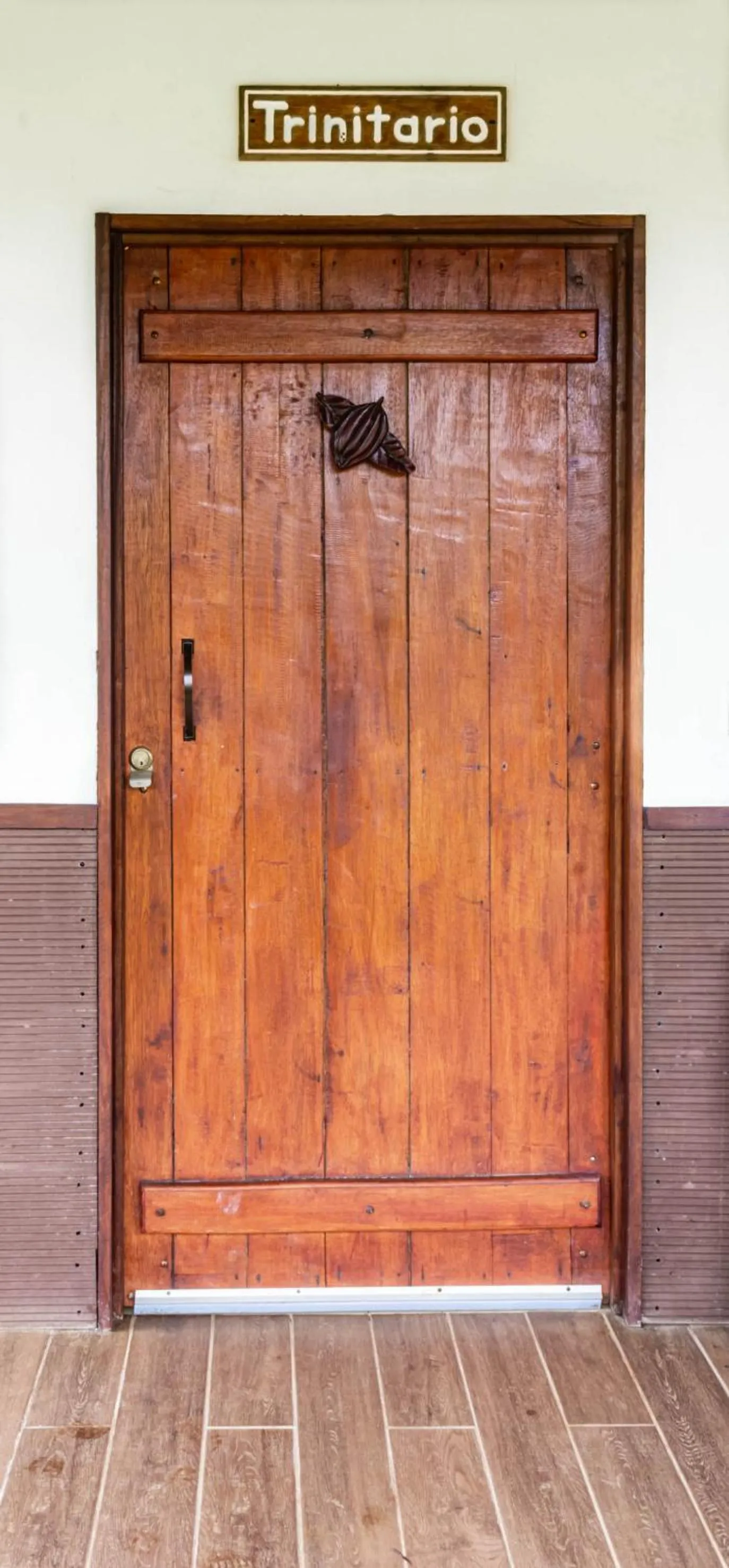 Property building in La Anita Rain Forest