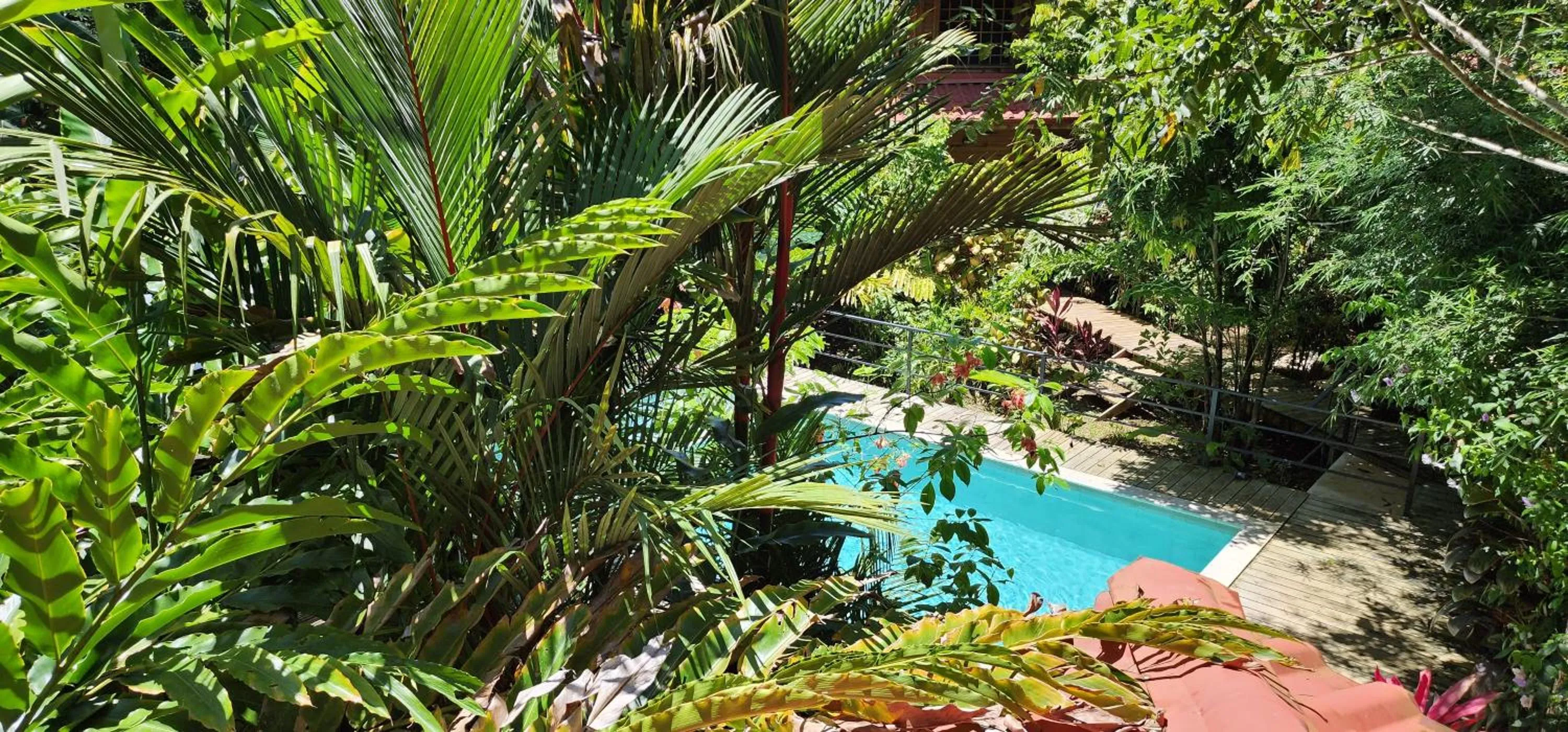 Garden view in Boutique Hotel y Spa Tangara Azul
