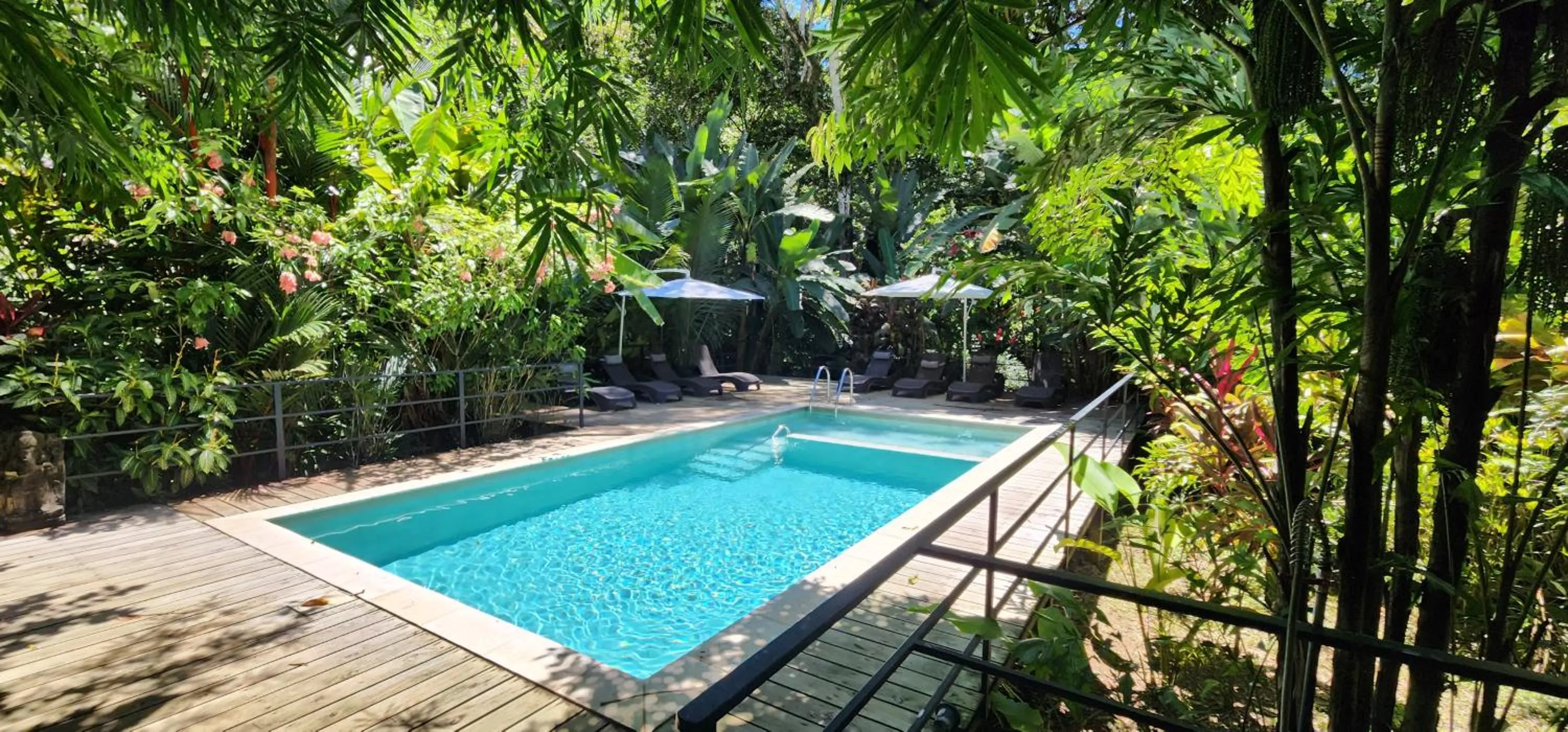 Pool view in Boutique Hotel y Spa Tangara Azul