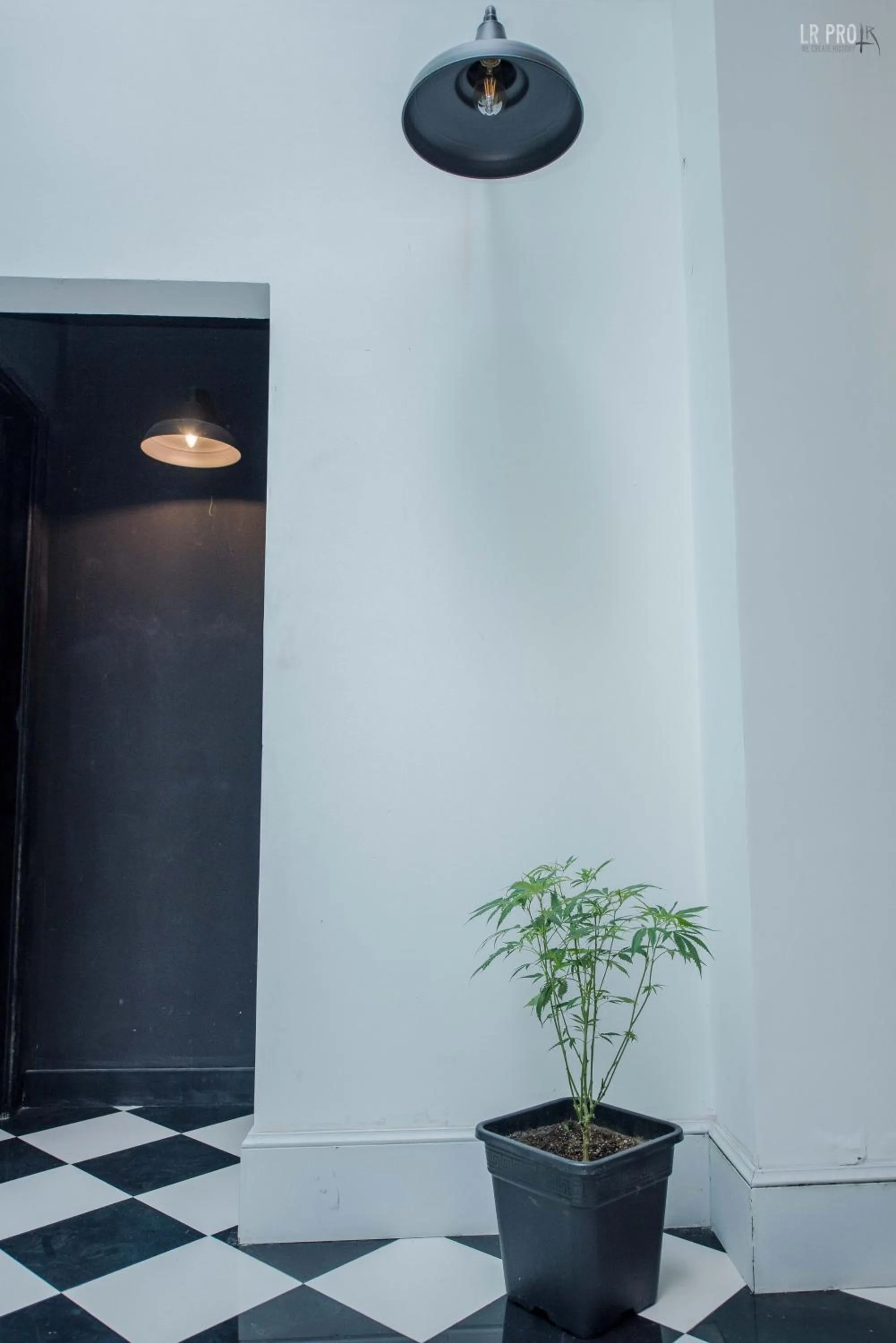 AHIVÁ Espacio Temporal