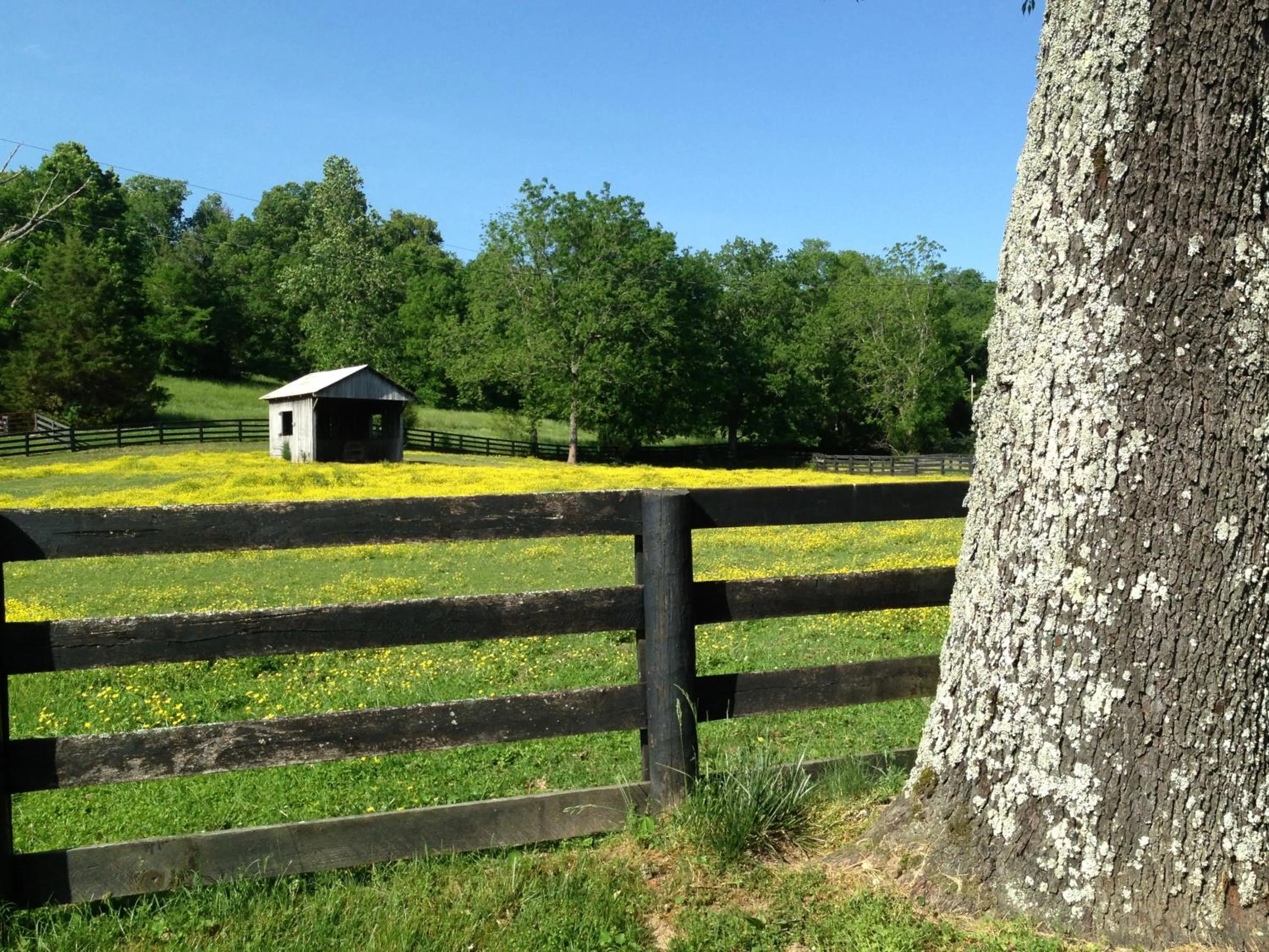 Spring in Full Circle Farm Inn