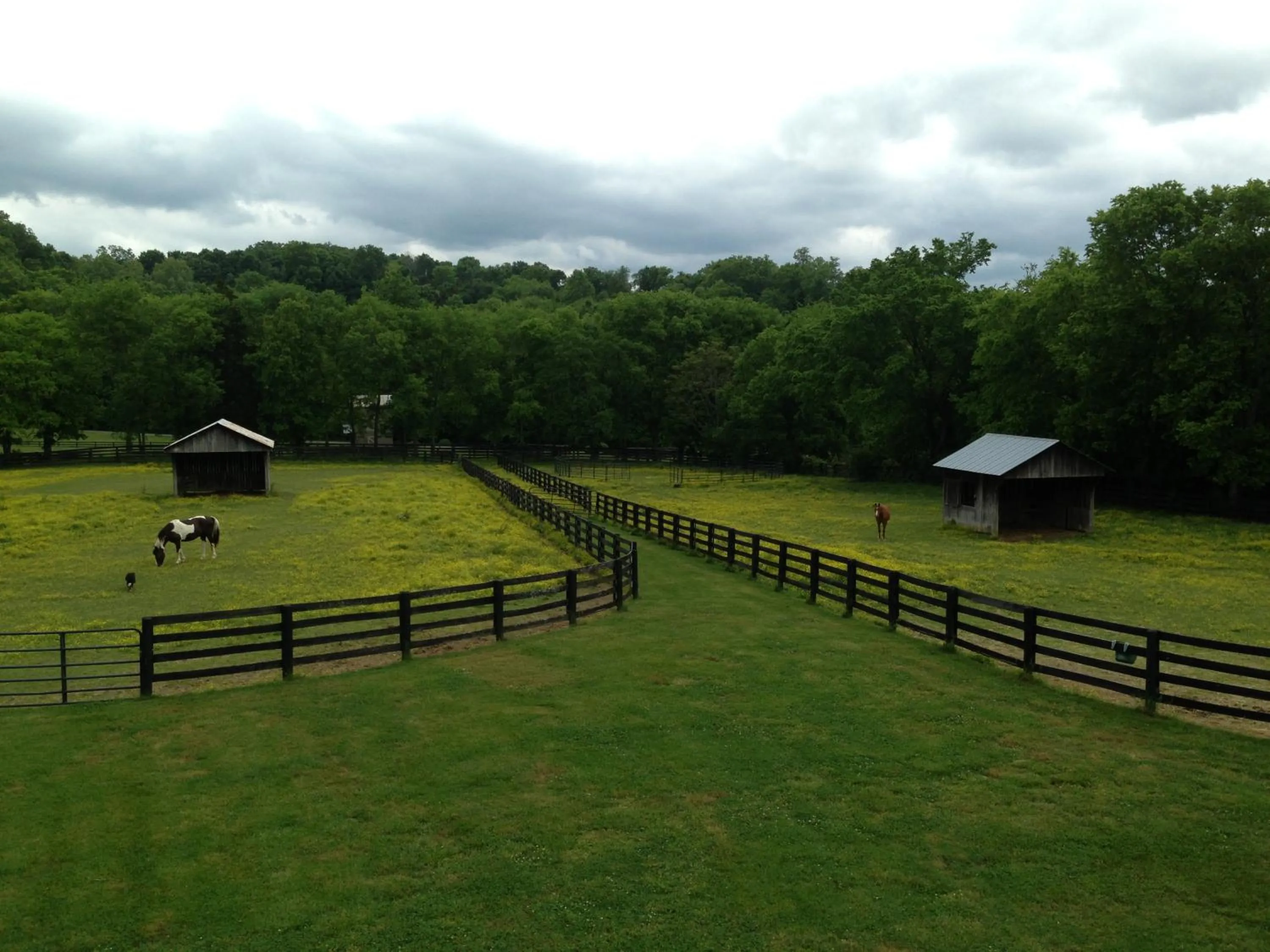 Bird's eye view in Full Circle Farm Inn