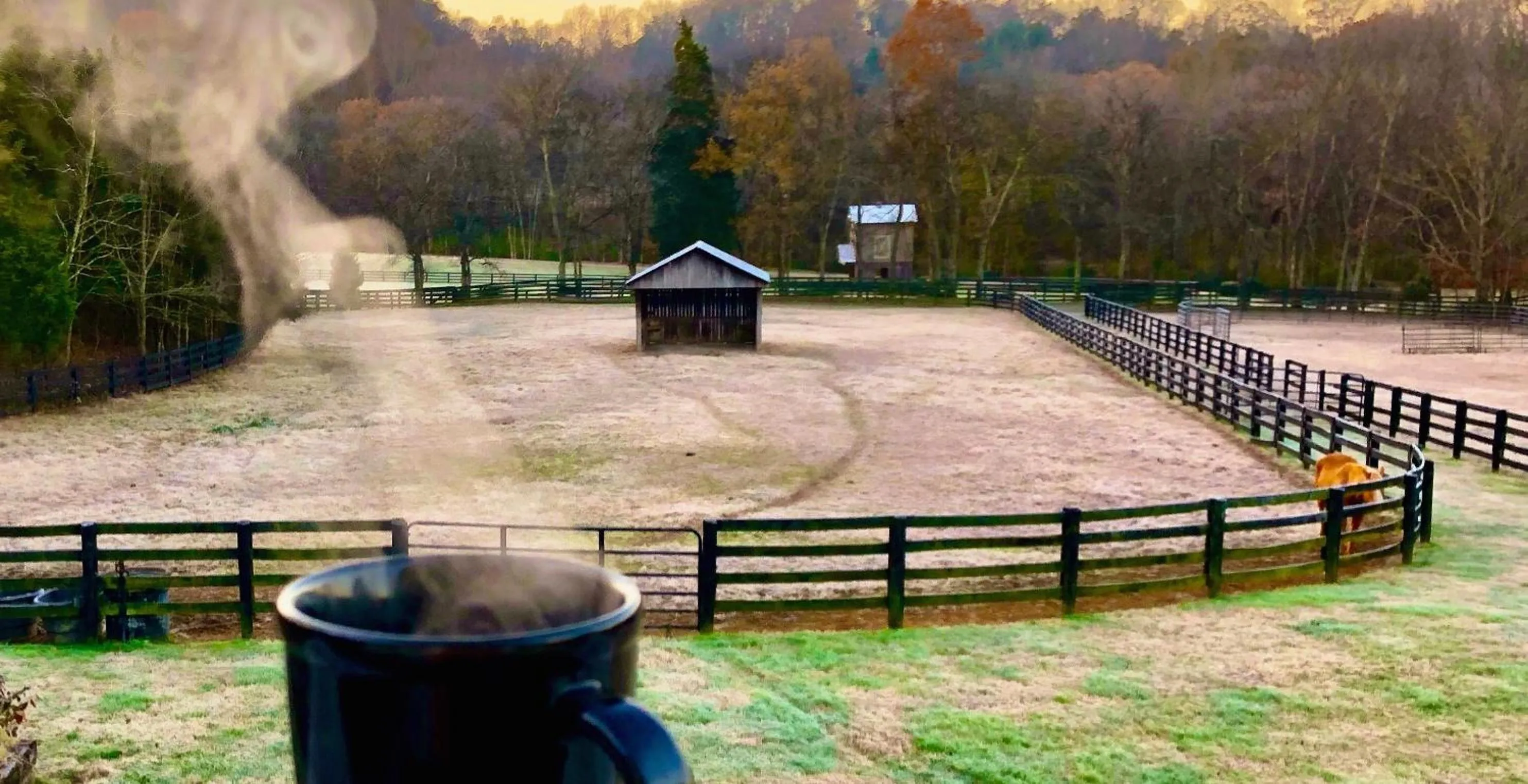 View (from property/room) in Full Circle Farm Inn