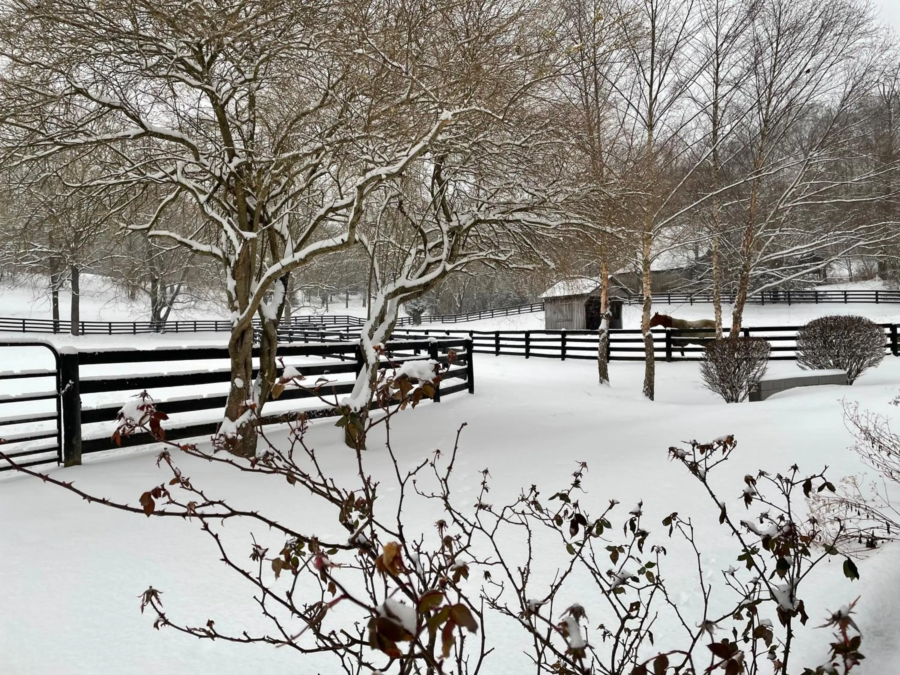 Winter in Full Circle Farm Inn