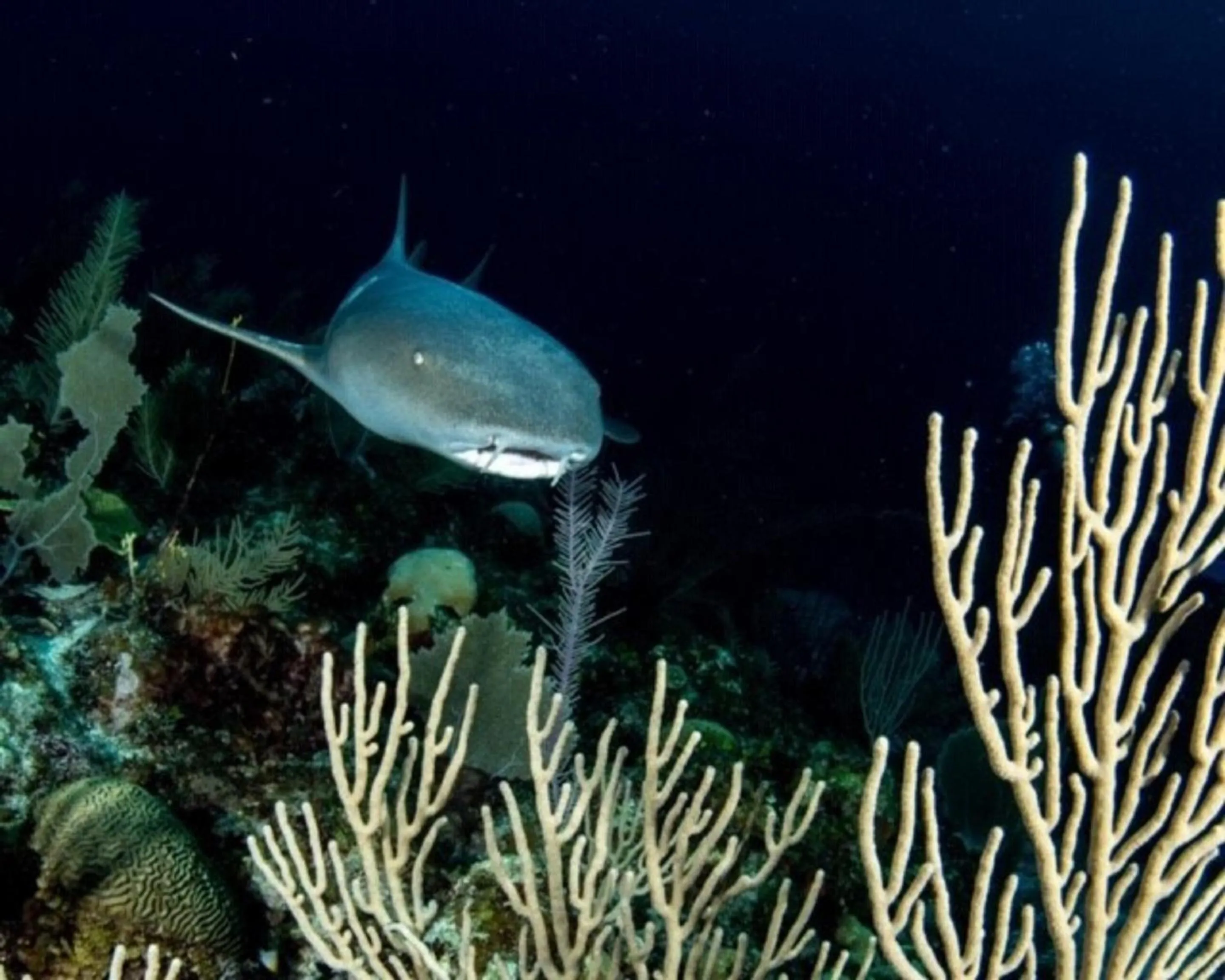 Natural landscape in Casa del Rai