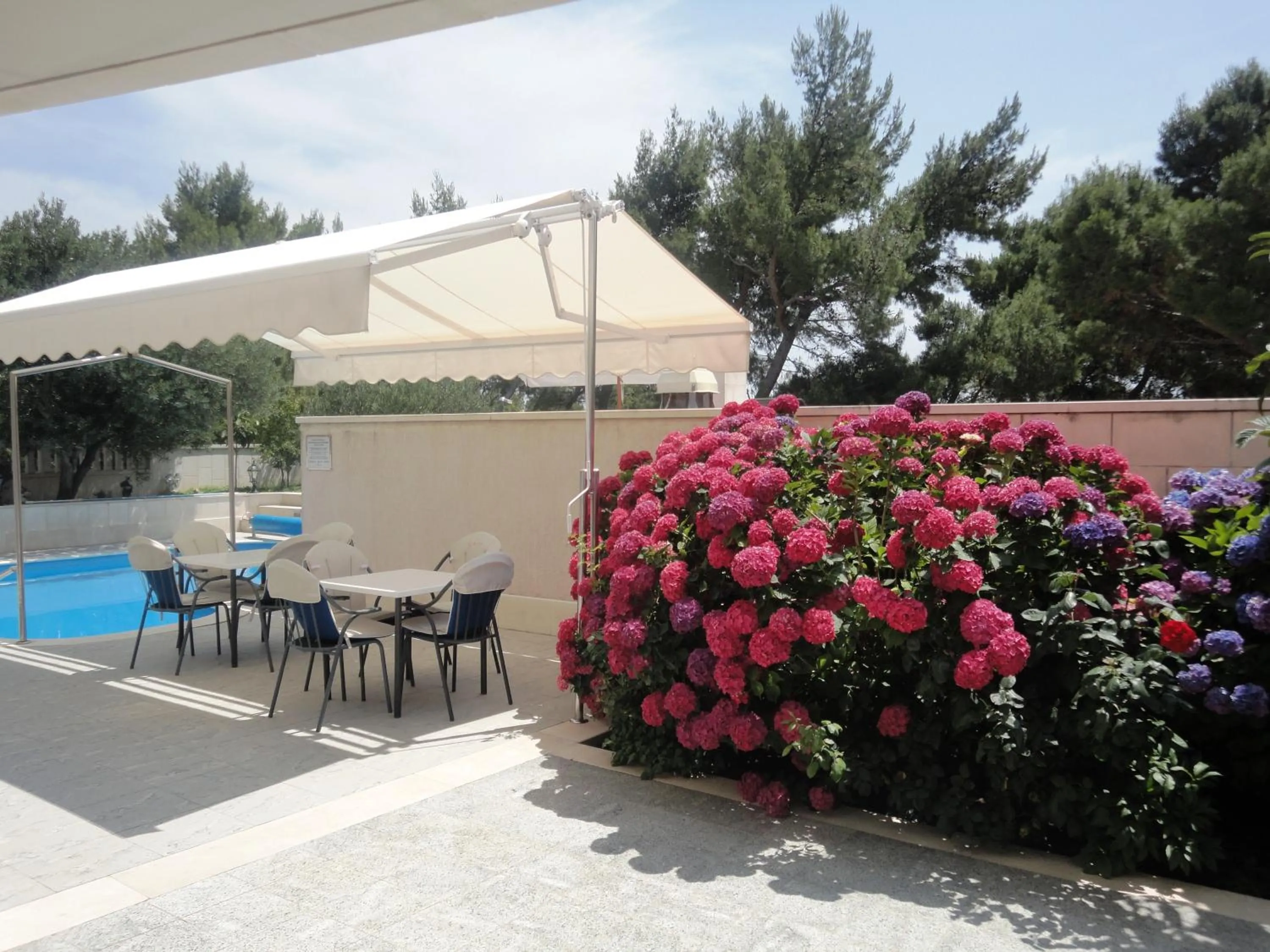 Area and facilities in Villa Daniela