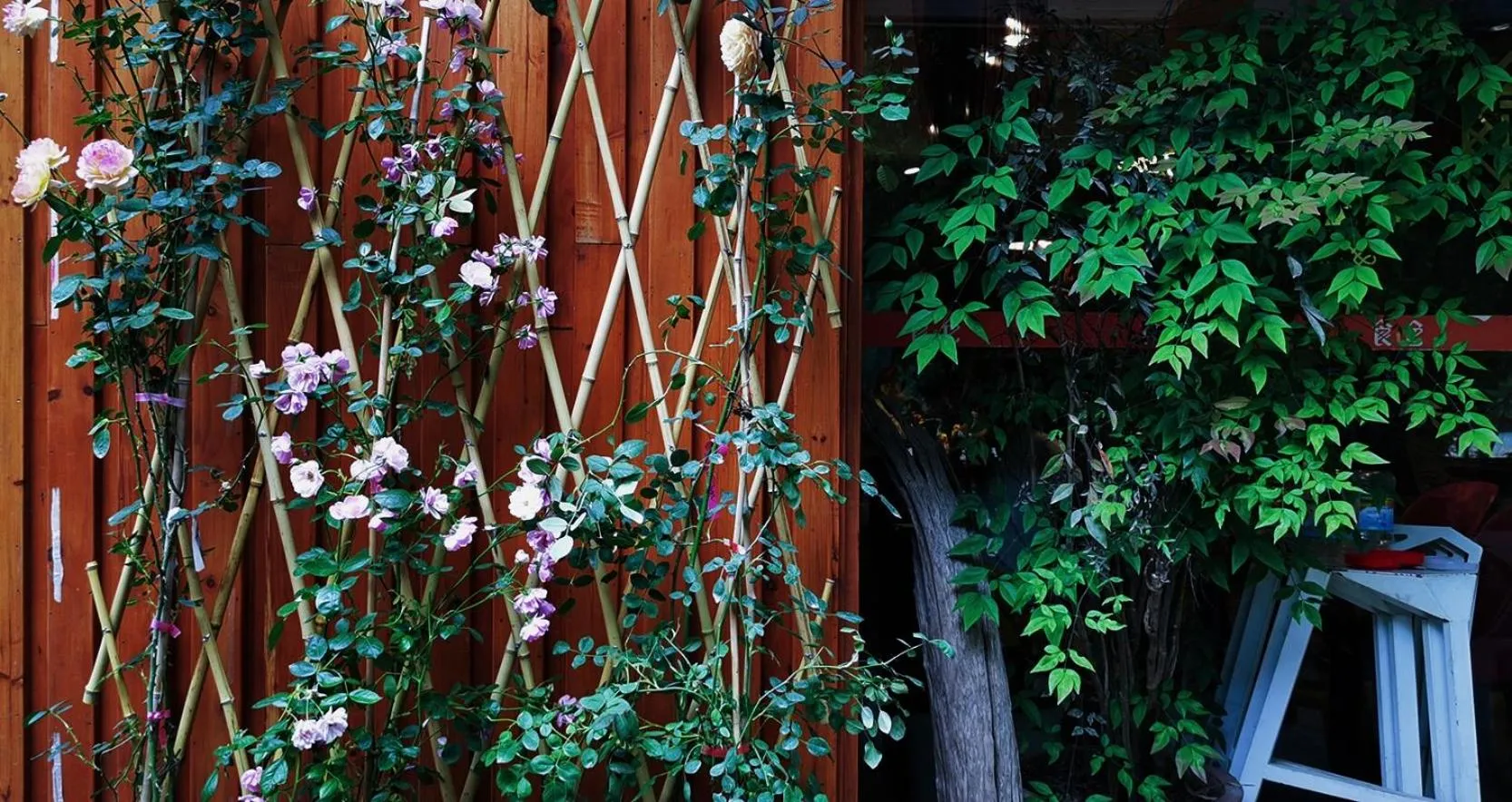 Garden in Ancient Street No.5 Youth Chic Hotel