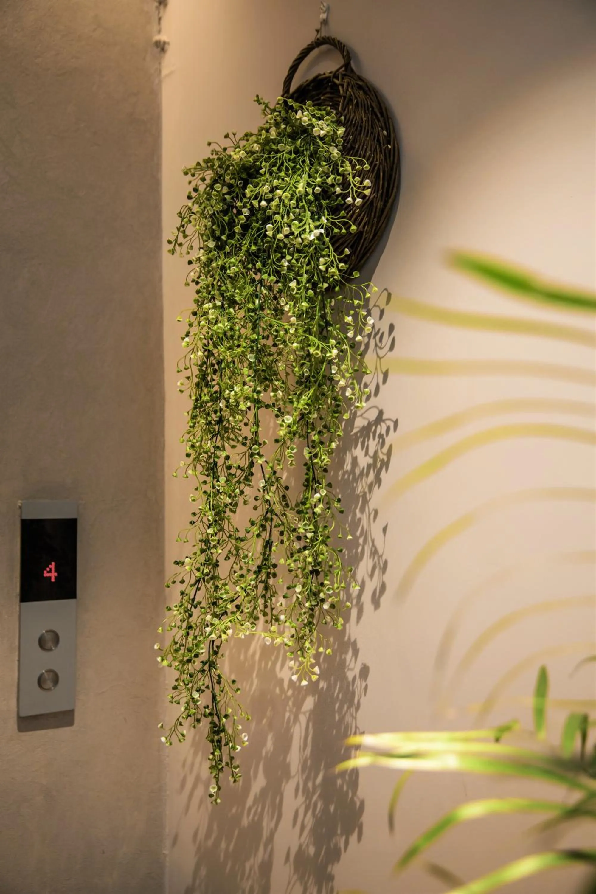 Other in Ancient Street No.5 Youth Chic Hotel