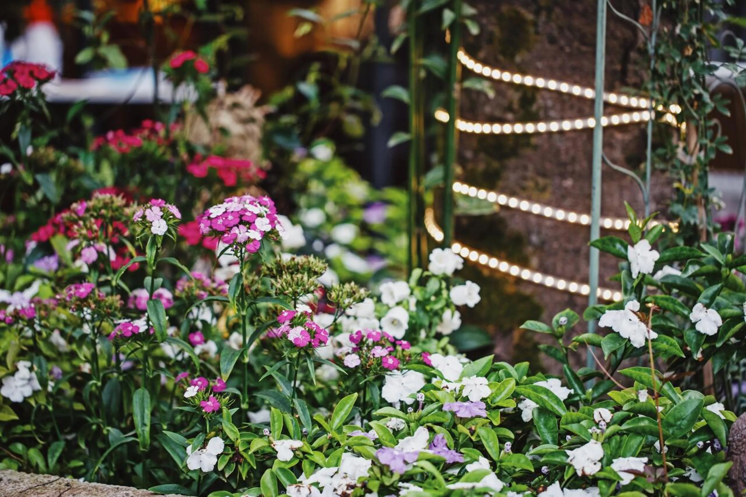 Garden in Ancient Street No.5 Youth Chic Hotel