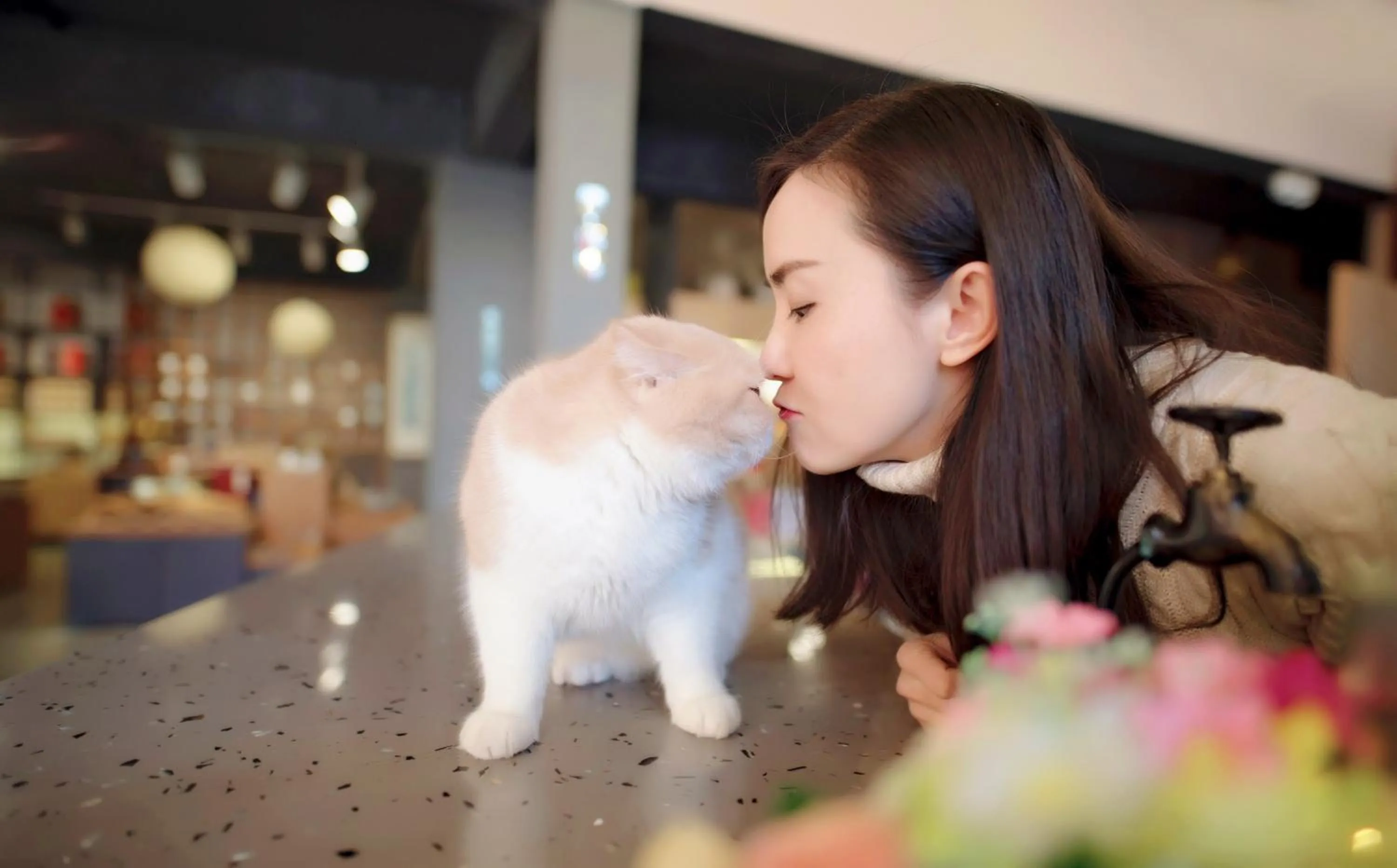 Pets in Ancient Street No.5 Youth Chic Hotel