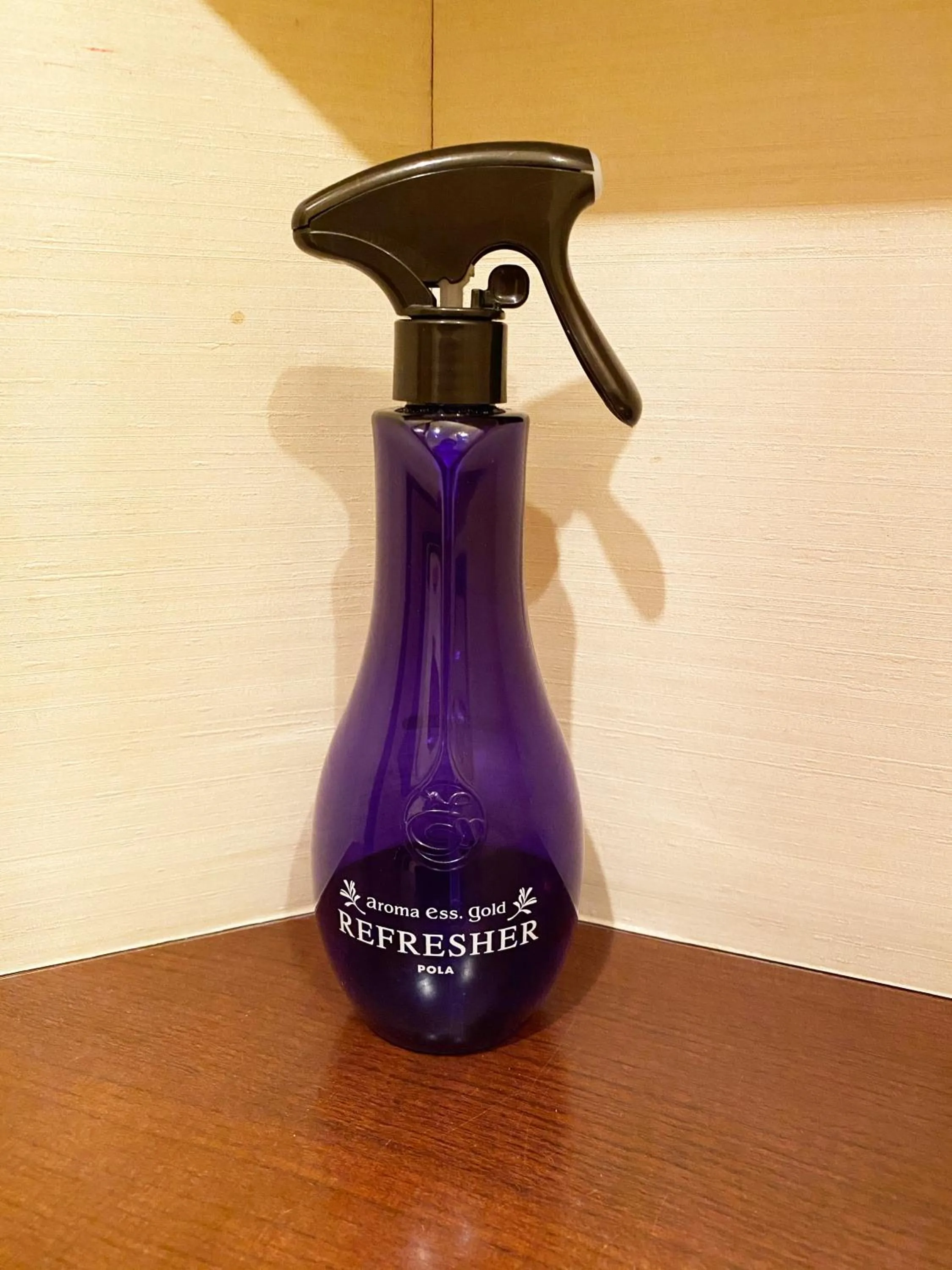 Decorative detail in Hotel Venus Ritz (Adult Only)