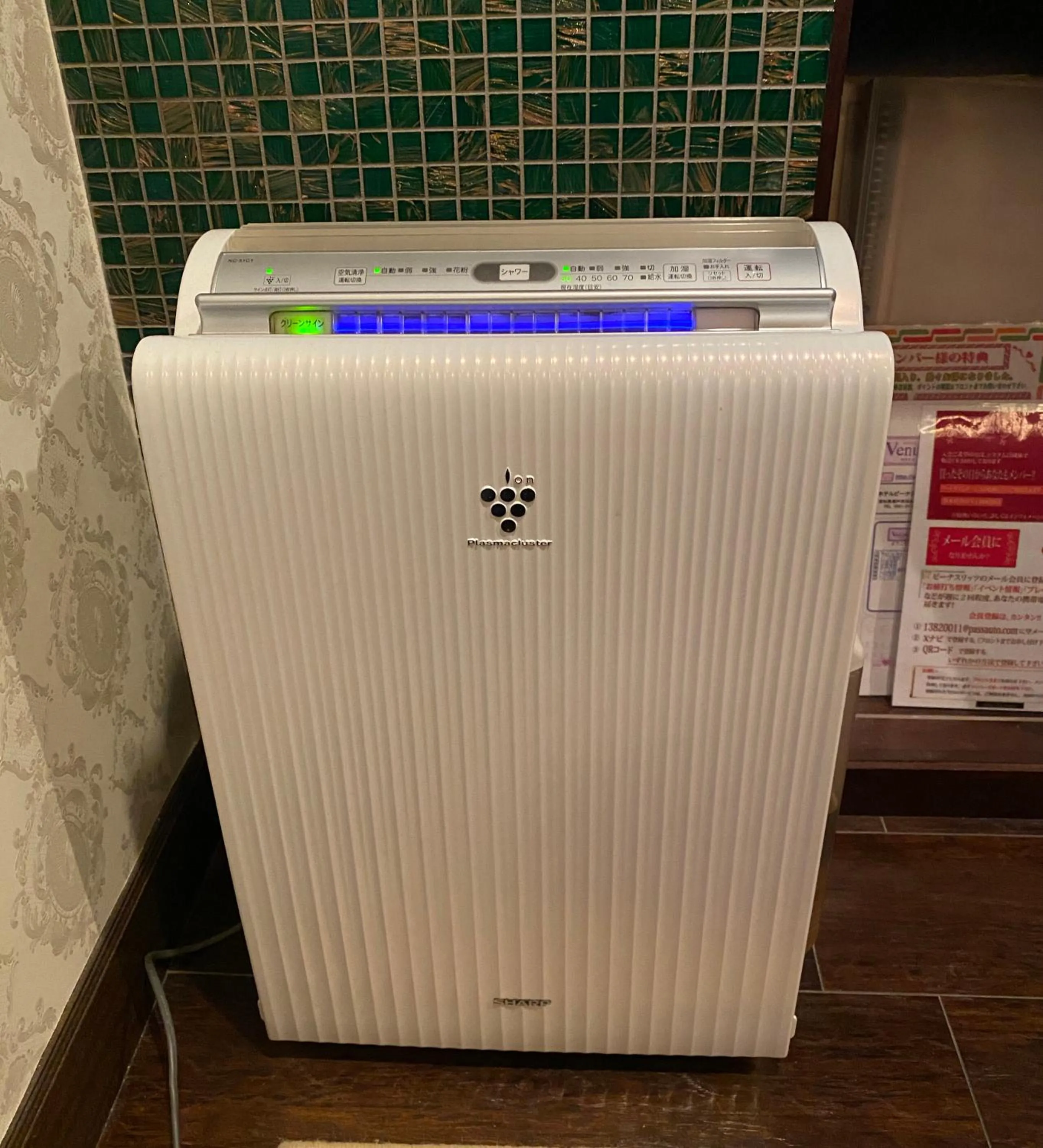 Decorative detail in Hotel Venus Ritz (Adult Only)