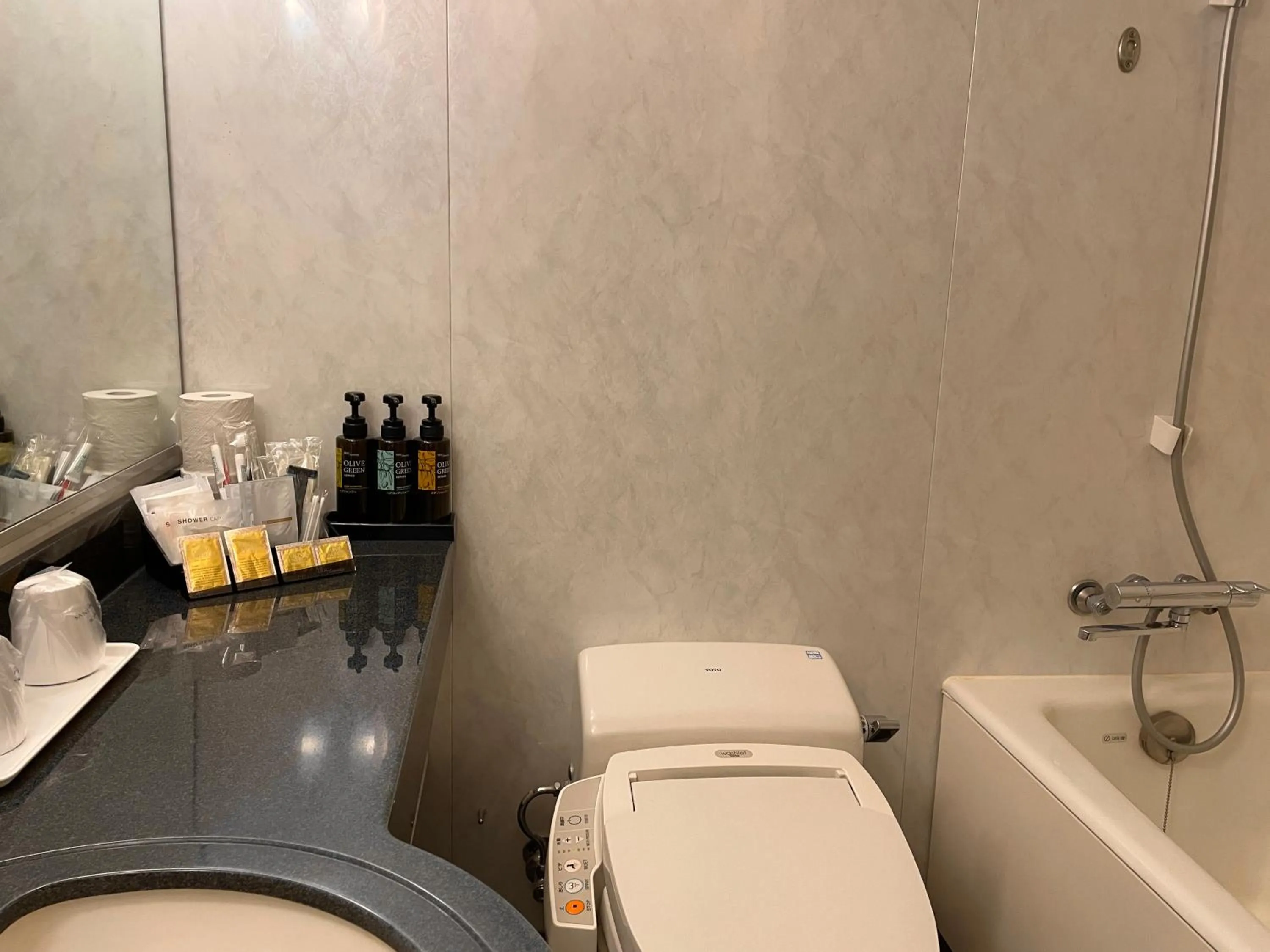 Bathroom in Bayside Hotel Azur Takeshiba