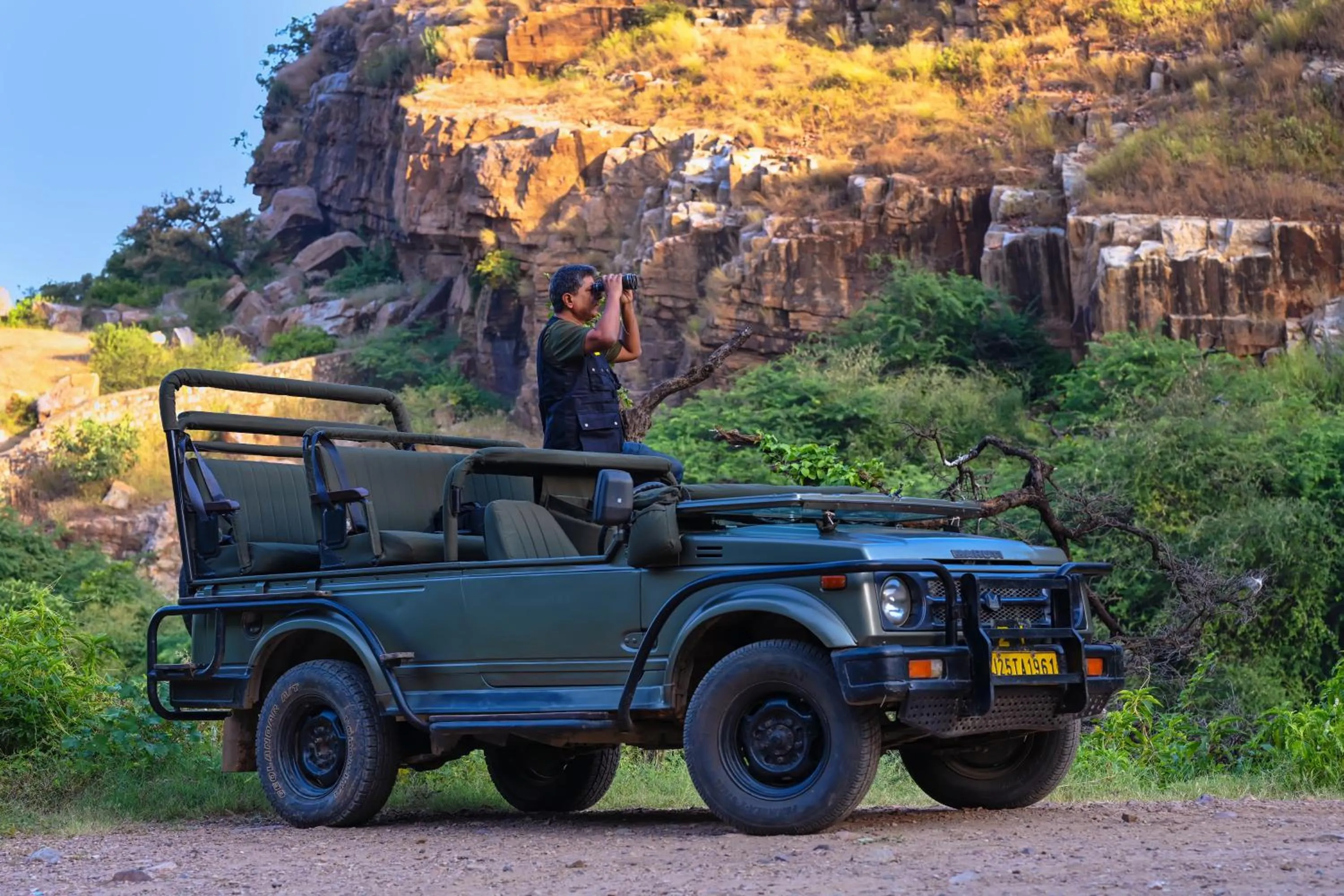 Natural landscape in Jungle Vilas