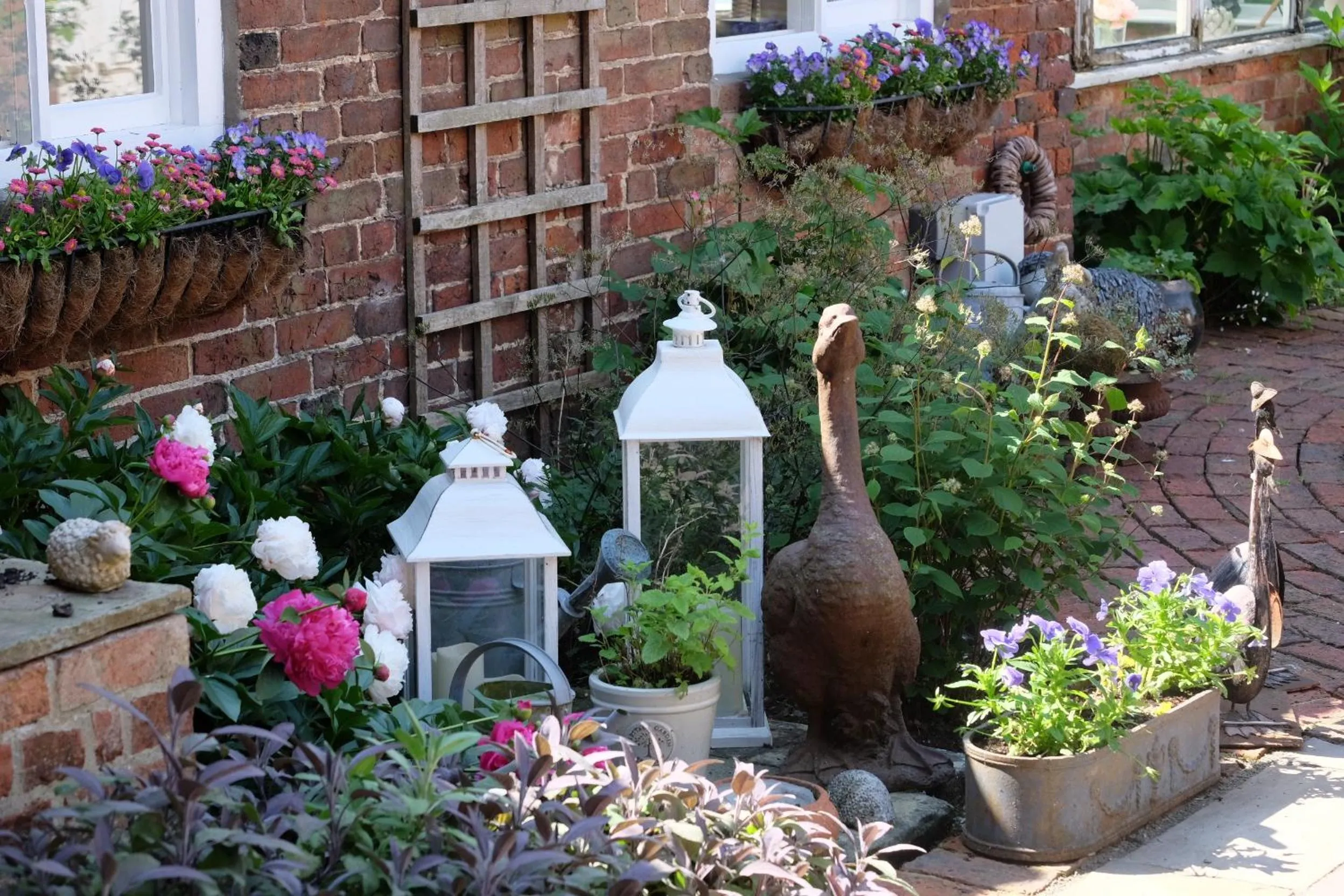 Area and facilities in Lut's Place