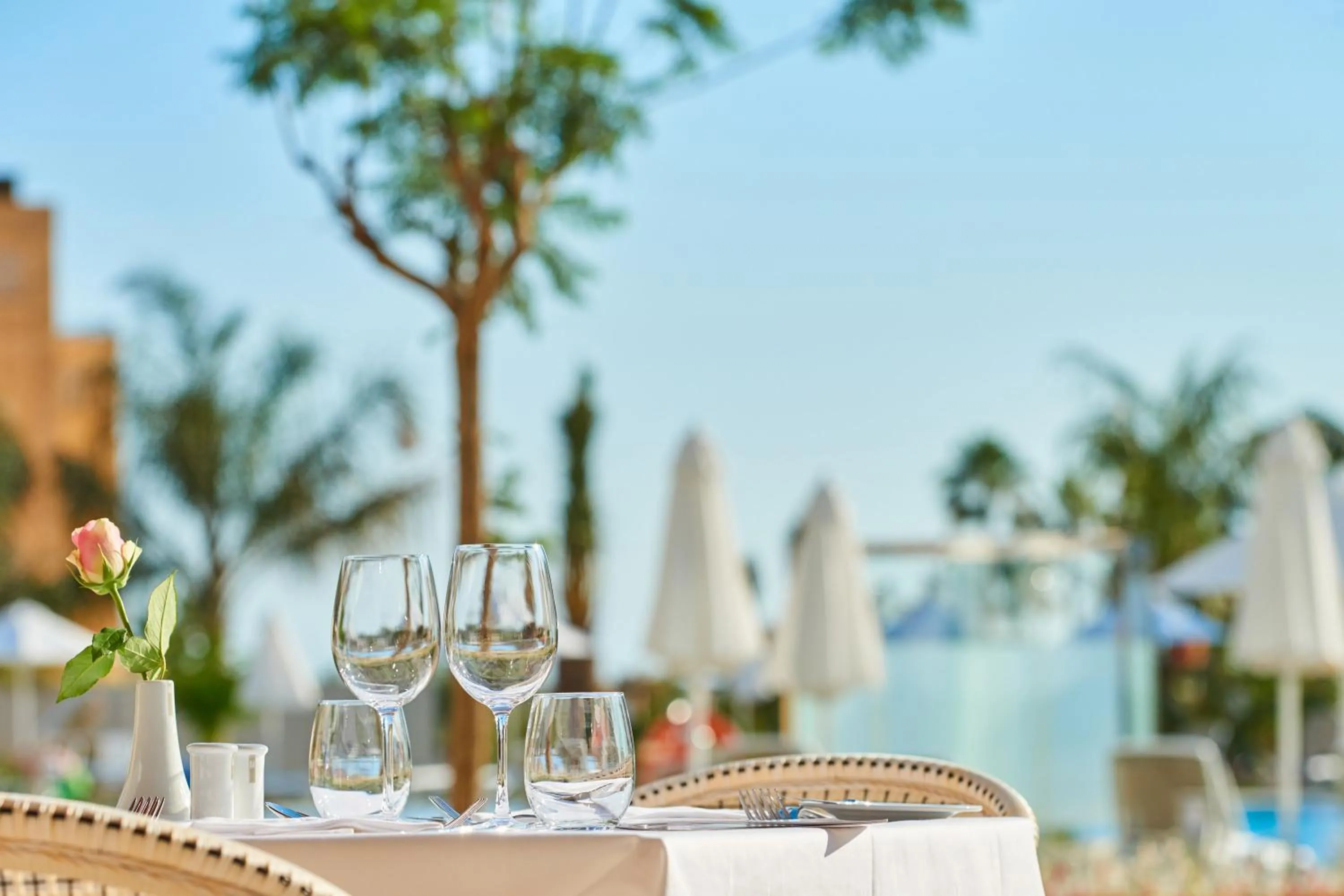 Restaurant/places to eat in Hipotels Playa de Palma Palace&Spa