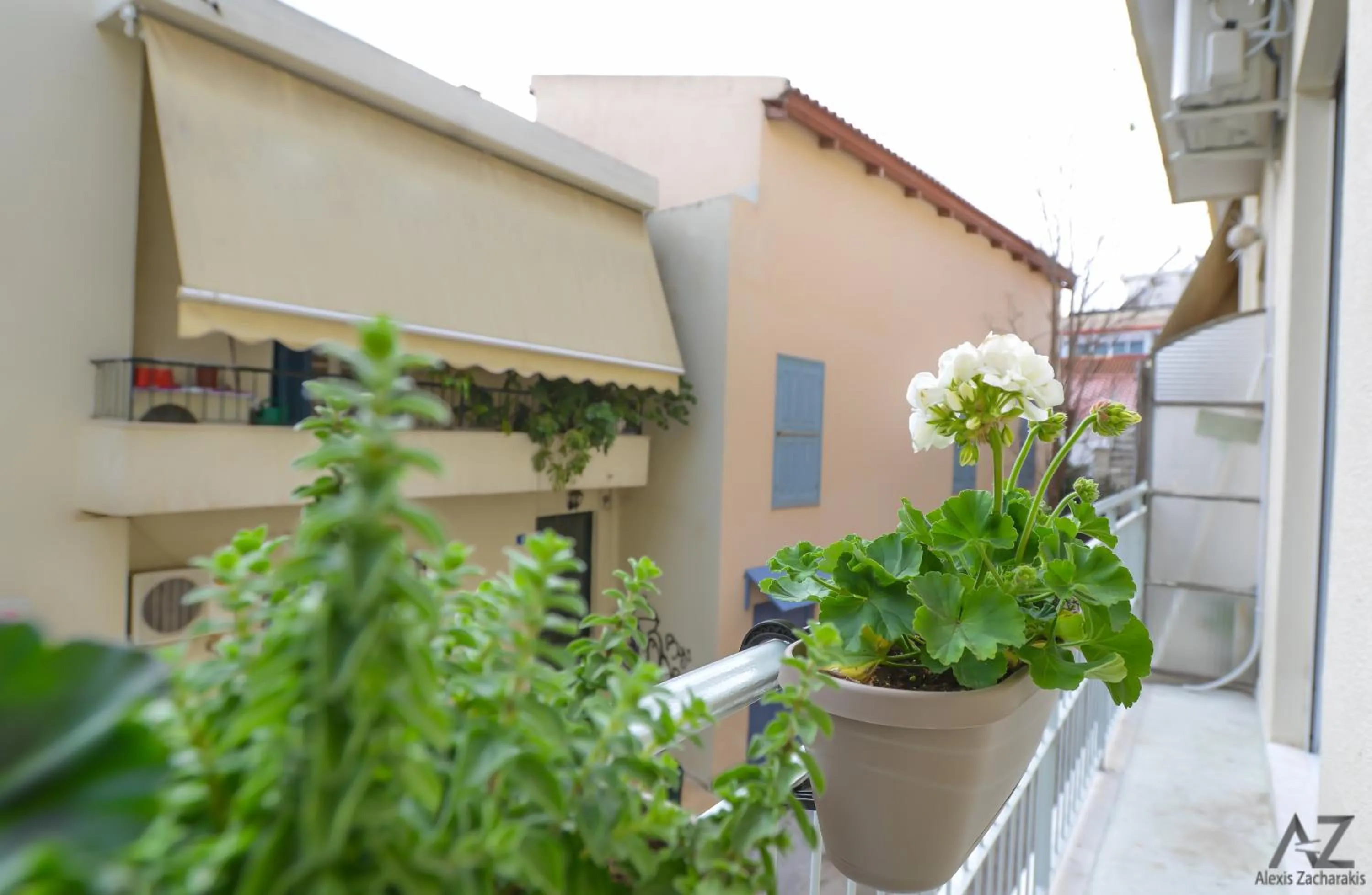 Property building in Phaedra Apartment